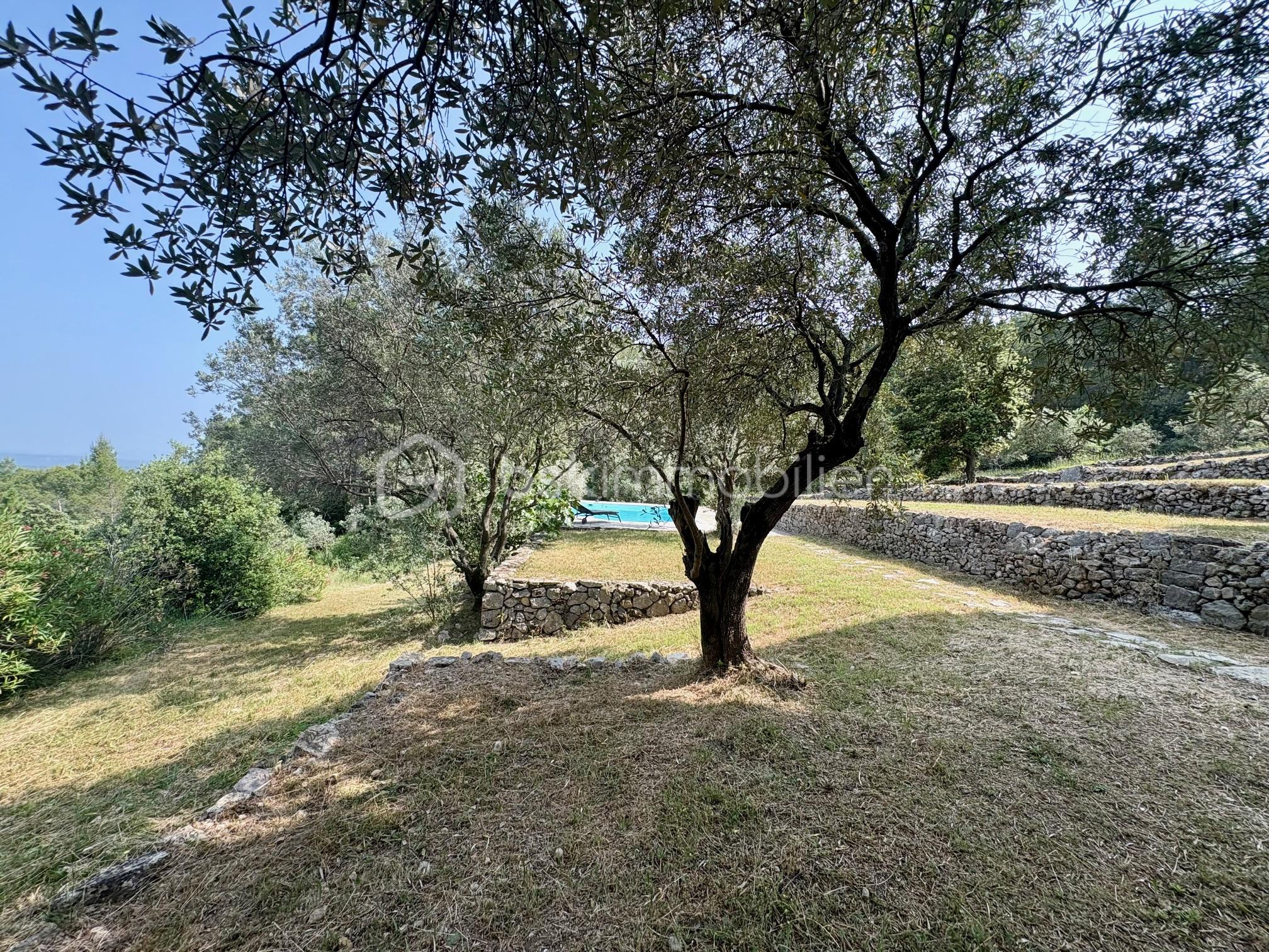 Mas de 135 m² - IMG_3395.jpg