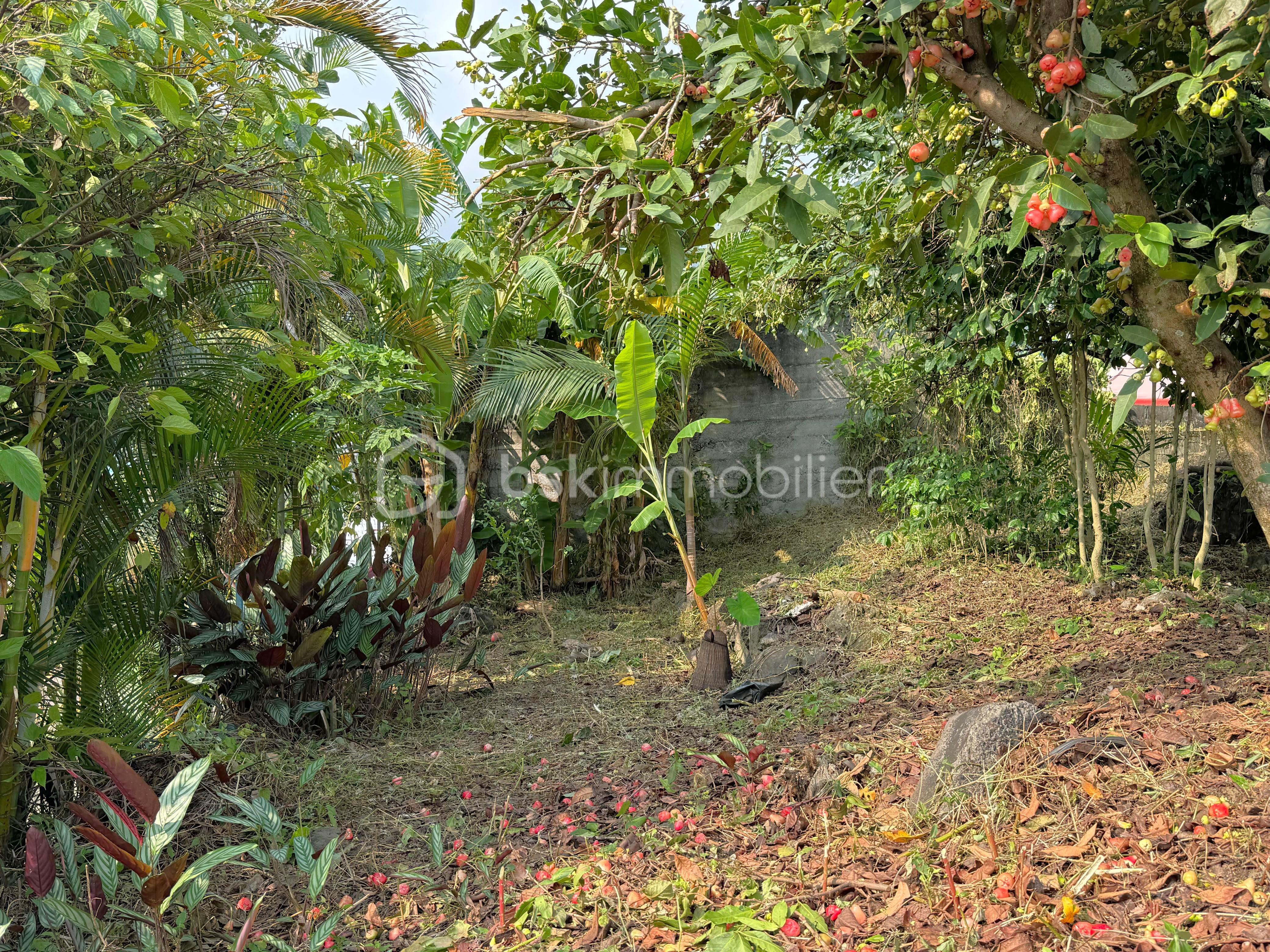 WhatsApp Image 2026-03-22 at 11.45.52 (1).jpeg