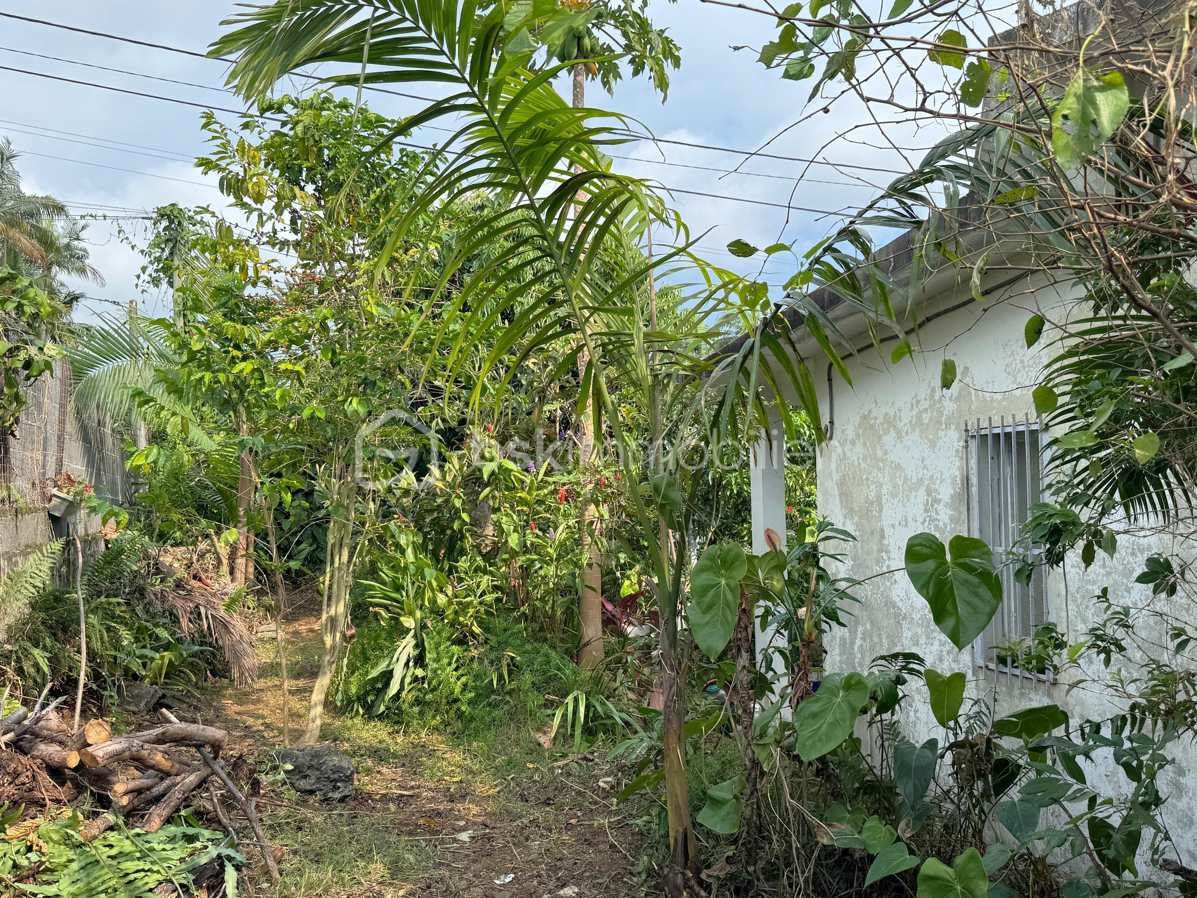 WhatsApp Image 2026-03-22 at 11.45.52 (2).jpeg