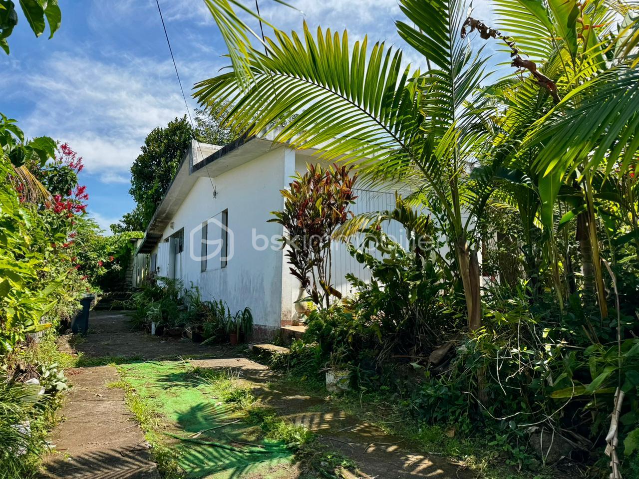 WhatsApp Image 2026-03-04 at 15.51.39 (2).jpeg