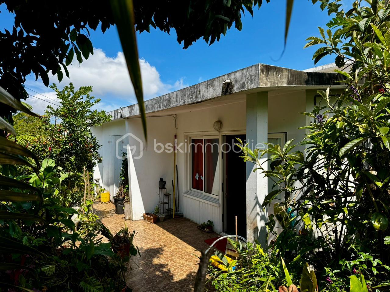 WhatsApp Image 2026-03-04 at 15.51.39.jpeg