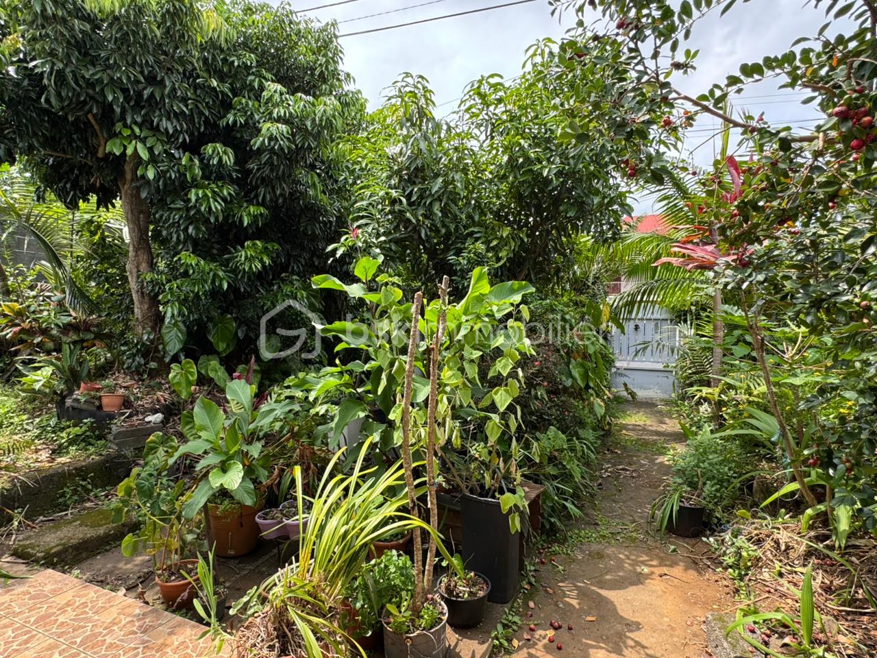 WhatsApp Image 2026-03-04 at 15.51.34.jpeg