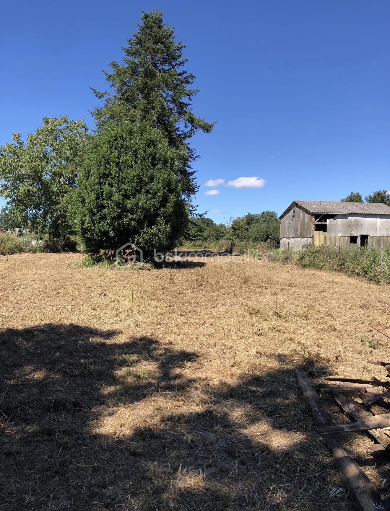 Cabanon de 100 m² - IMG_2209.jpg