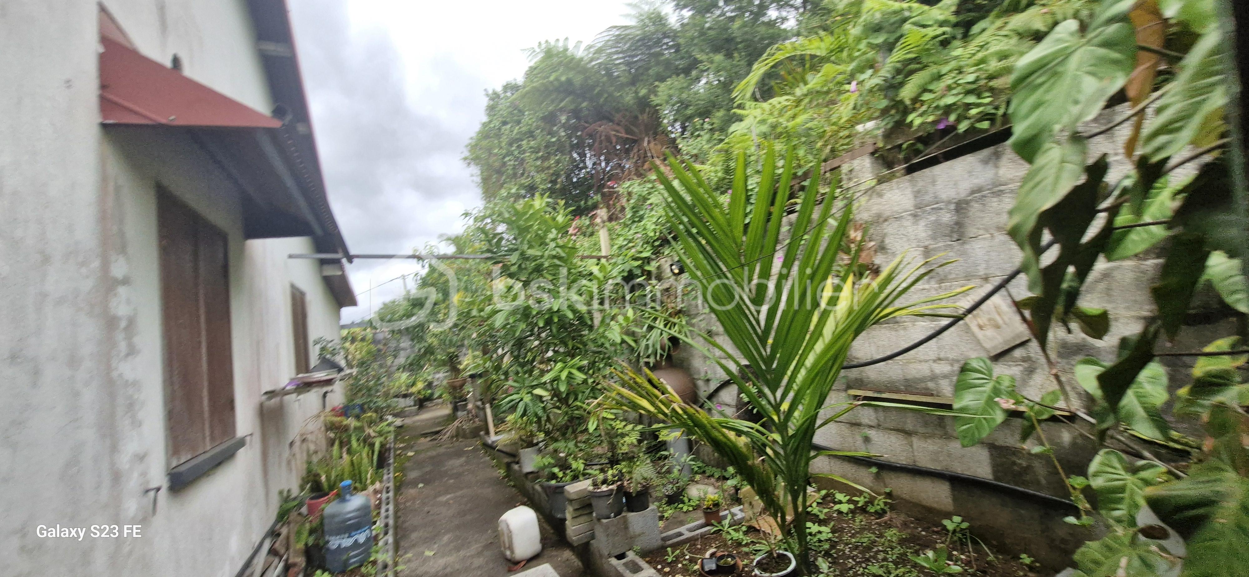 Maison de 75 m² - 1000088212.jpg