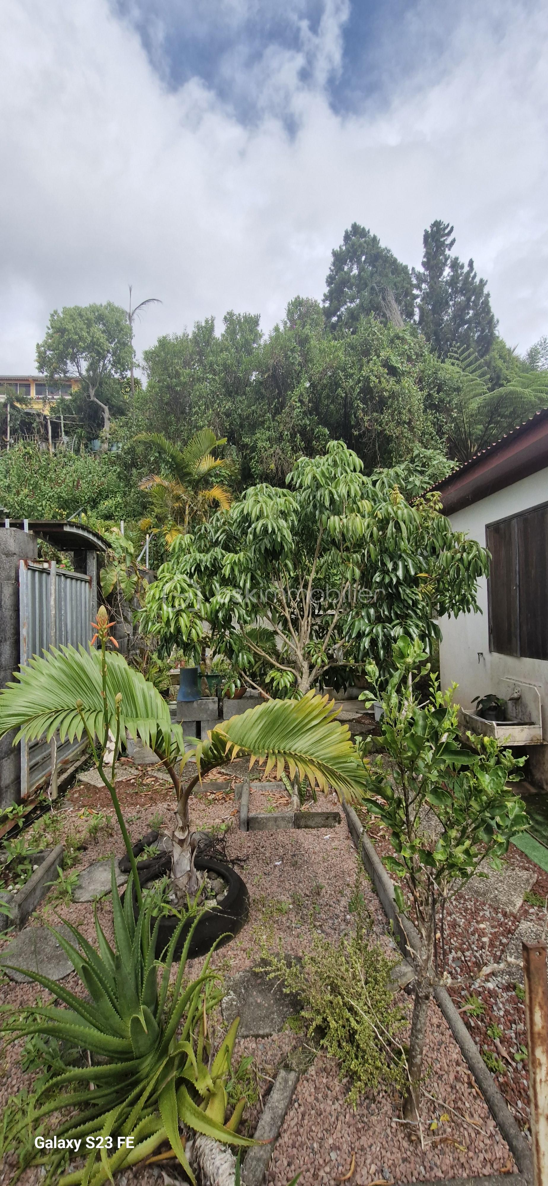 Maison de 75 m² - 1000088199.jpg