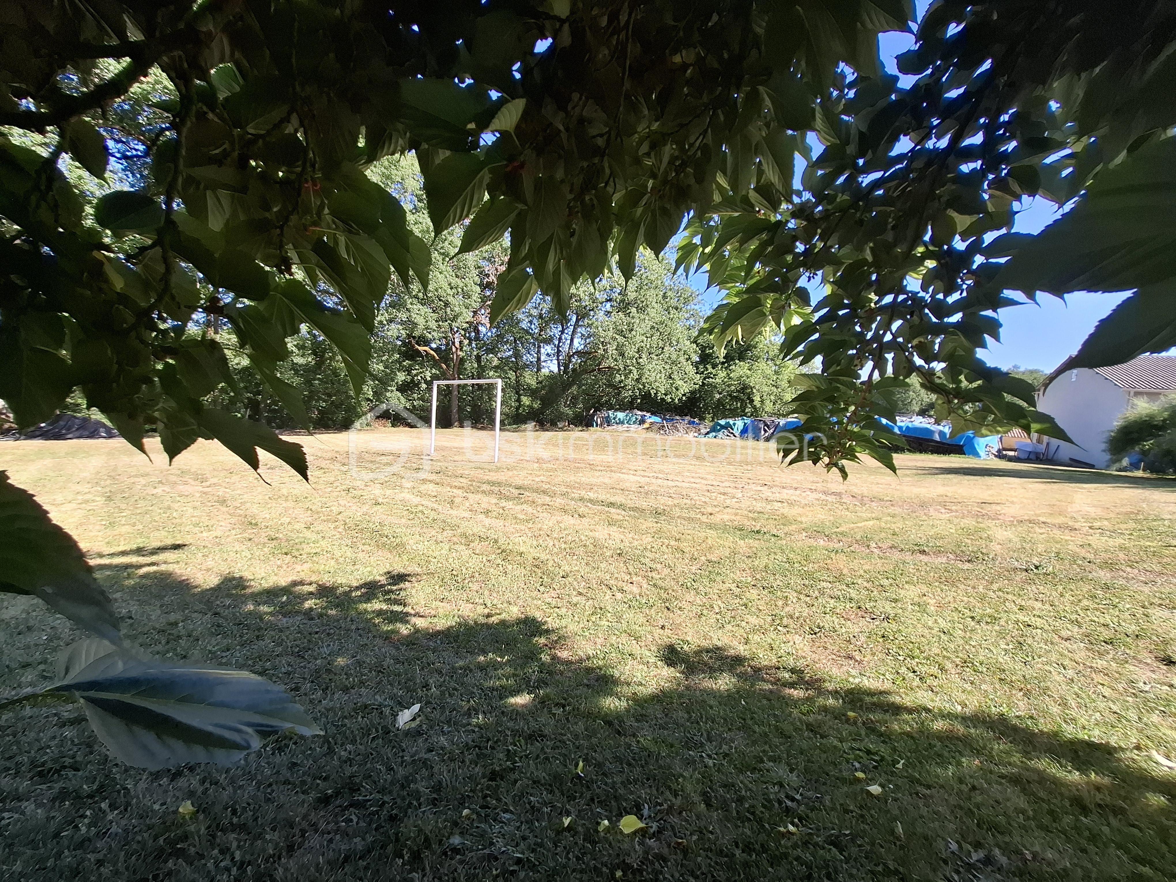 20260615_174623.jpg