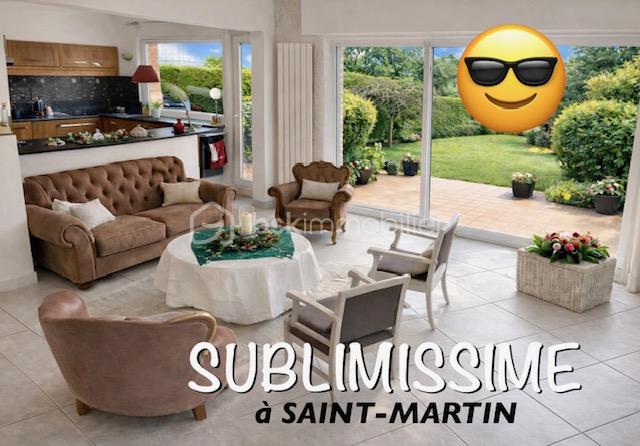 seillier sublissime à saint martin.jpg