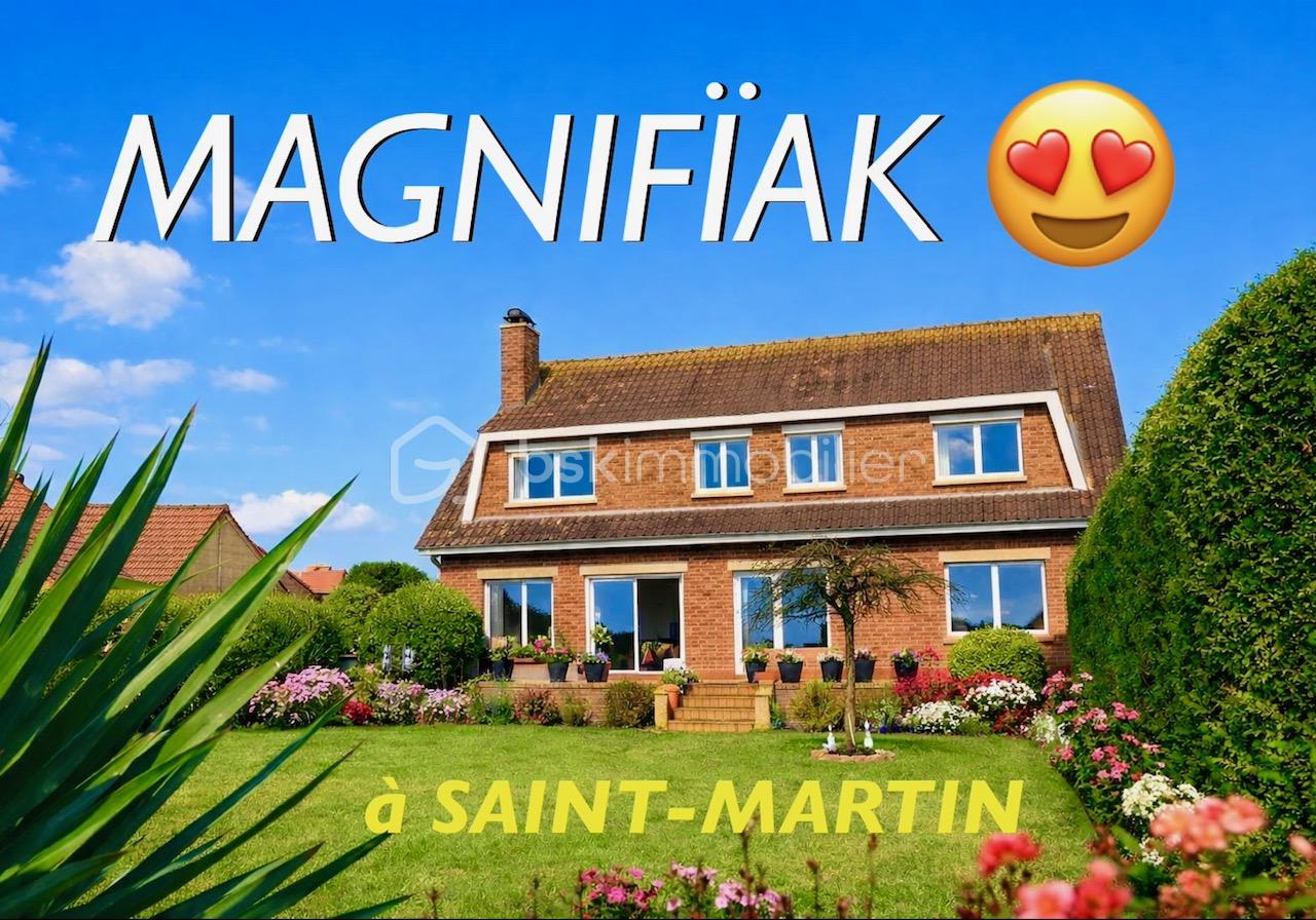 seillier MAGNFIAK.jpeg