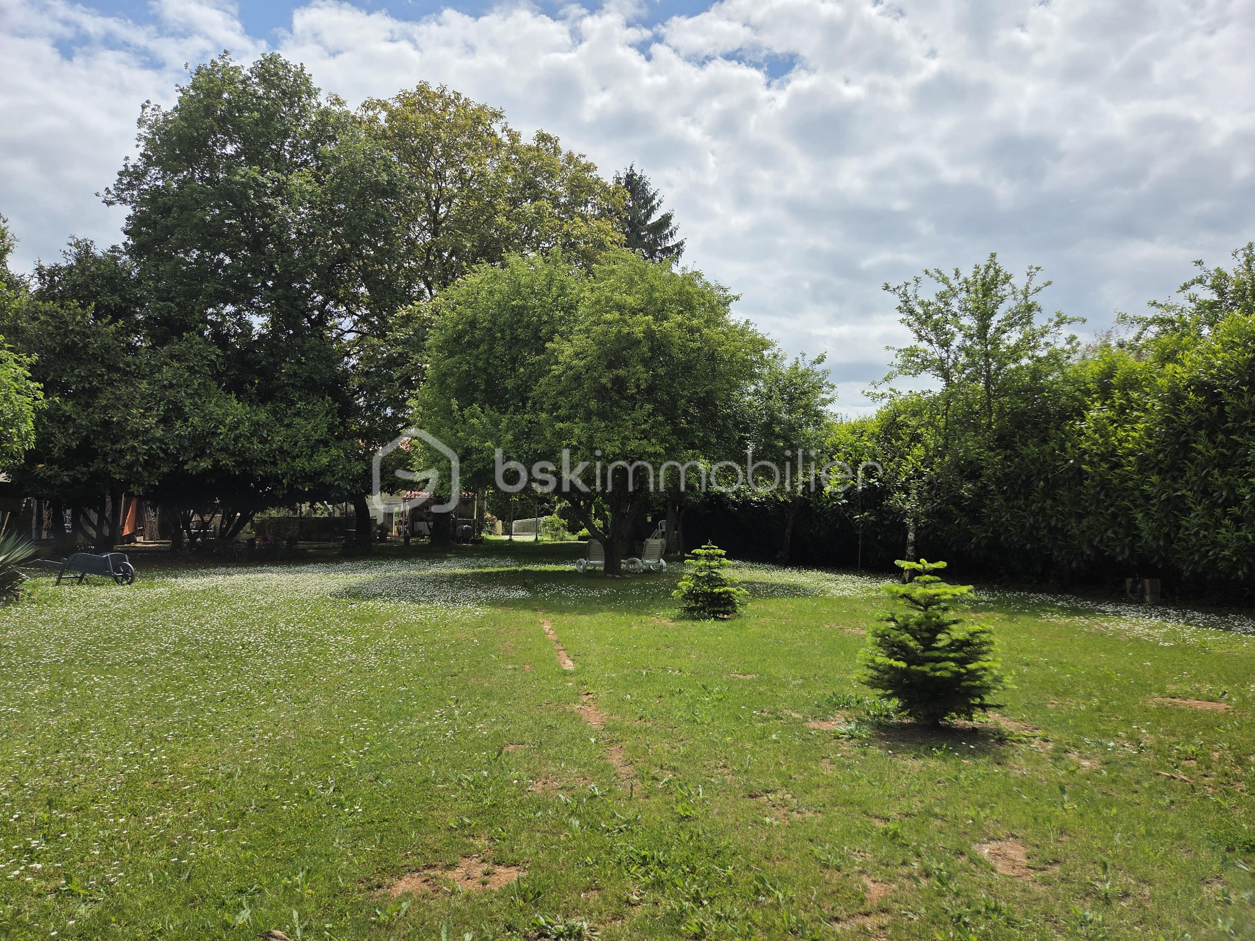 jardin 4.jpg