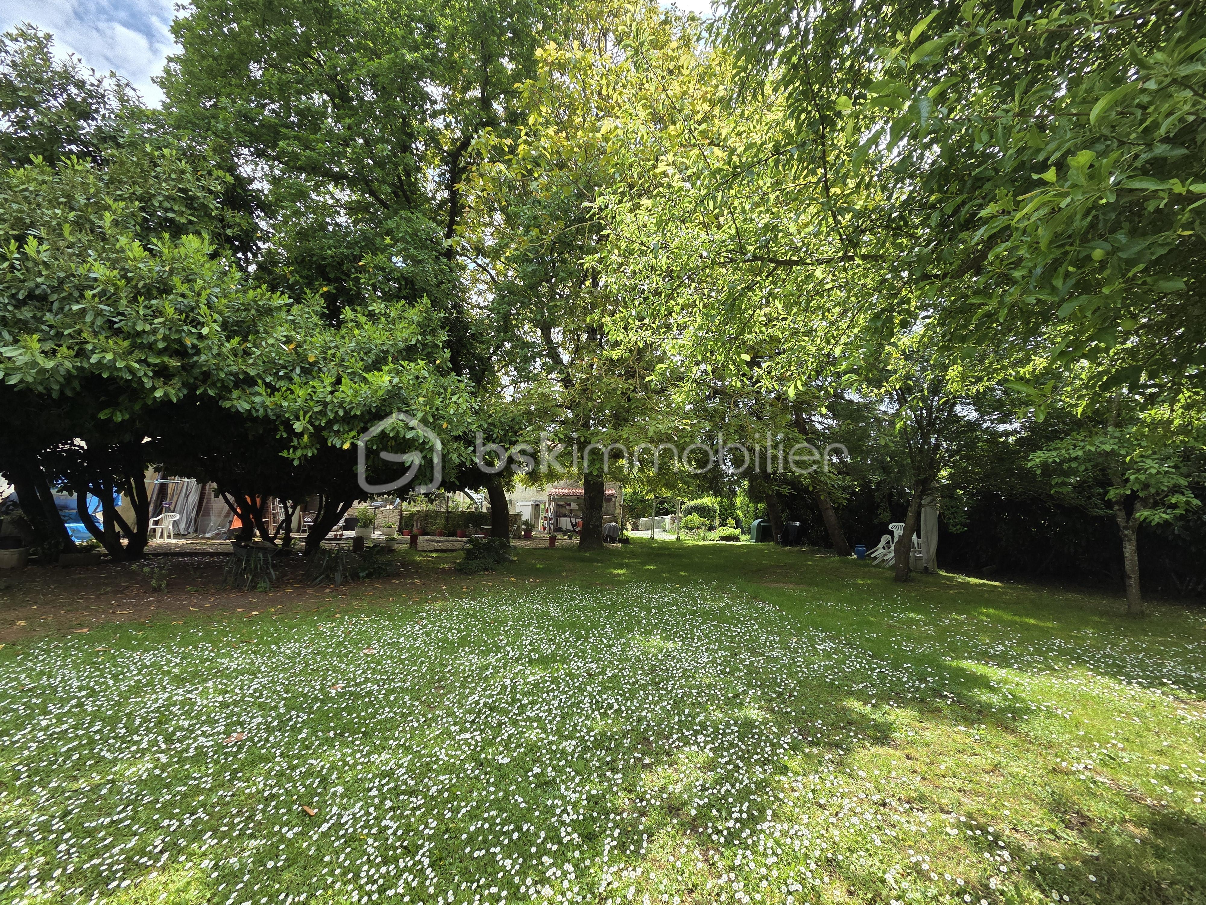 jardin 6.jpg