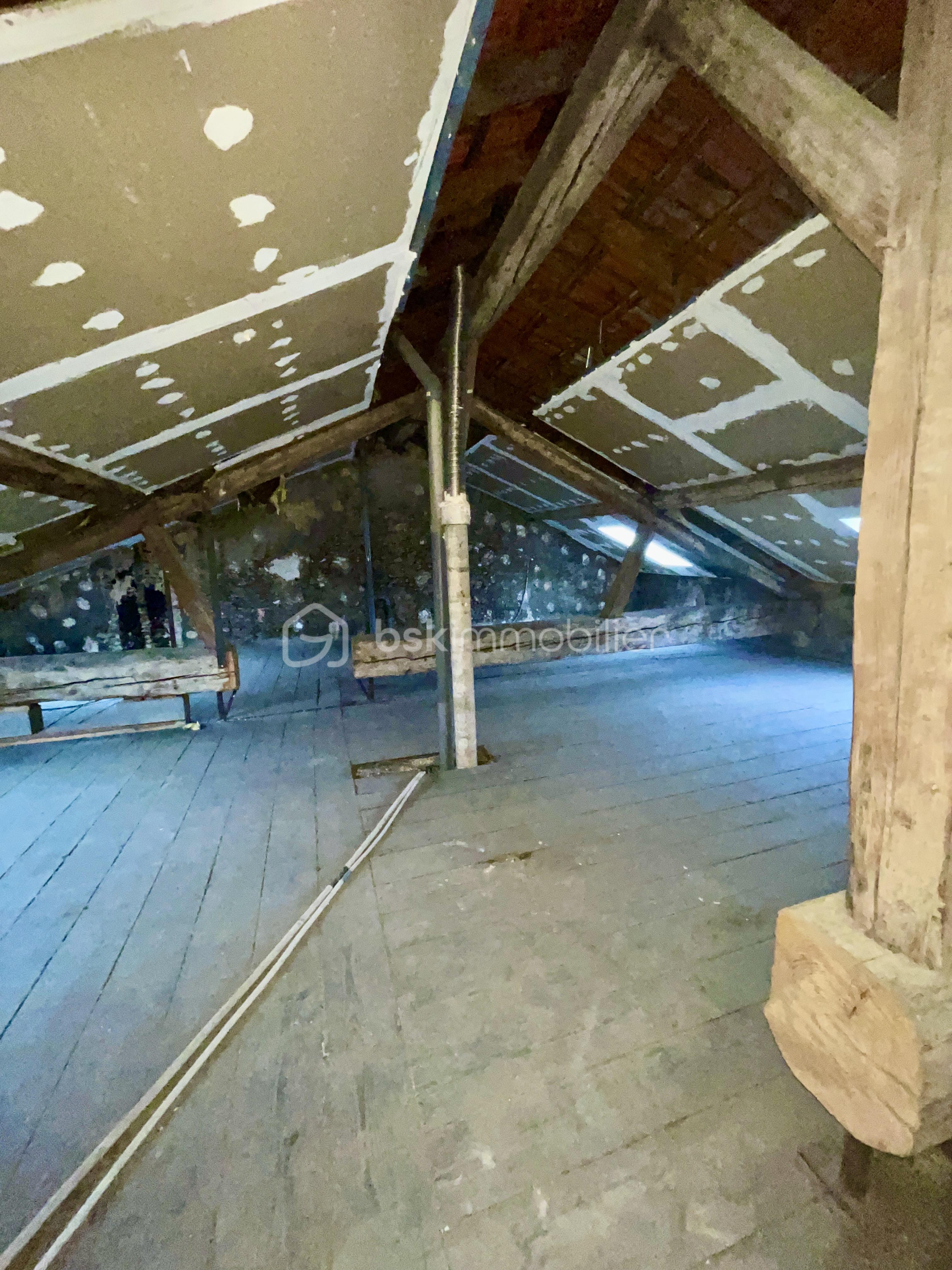 Immeuble mixte de 175 m² - IMG_8936.JPG