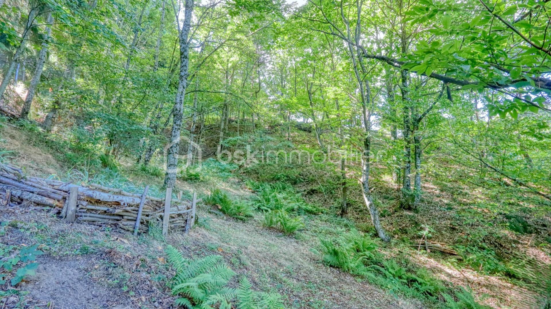 Ferme de 171 m² - photo-23.jpeg