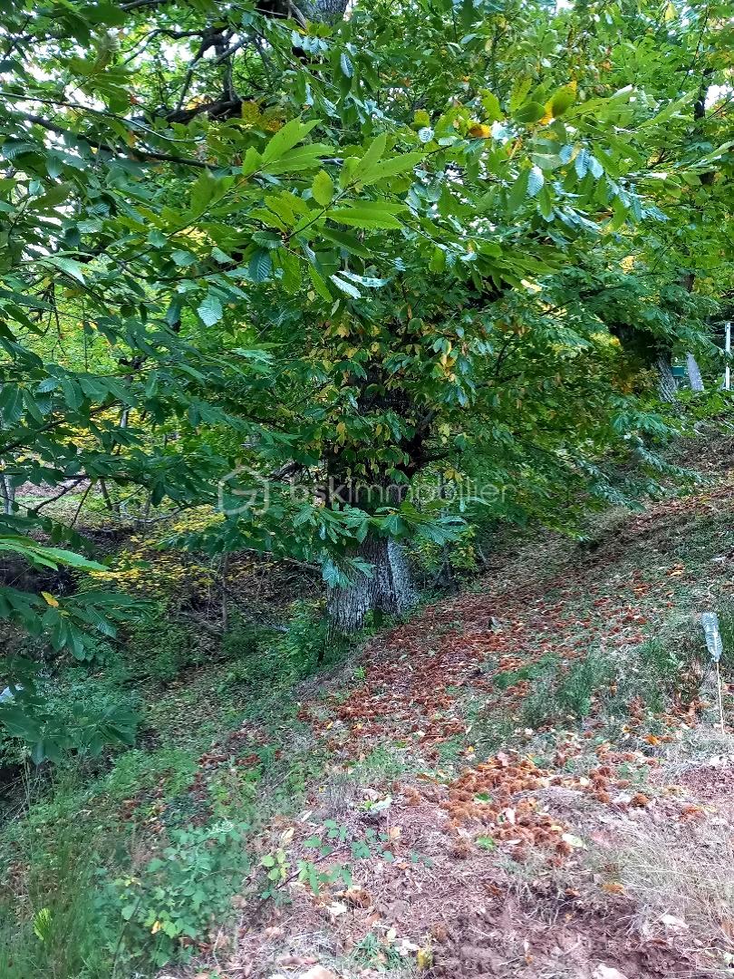 Ferme de 171 m² - liloo-downloaderUfKMvi