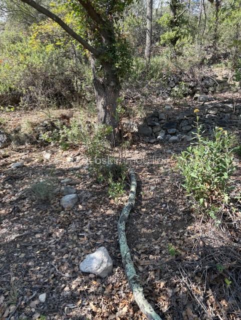 Terrain de loisirs de 4 150 m² - PHOTO TERRAIN UROZ.jpg