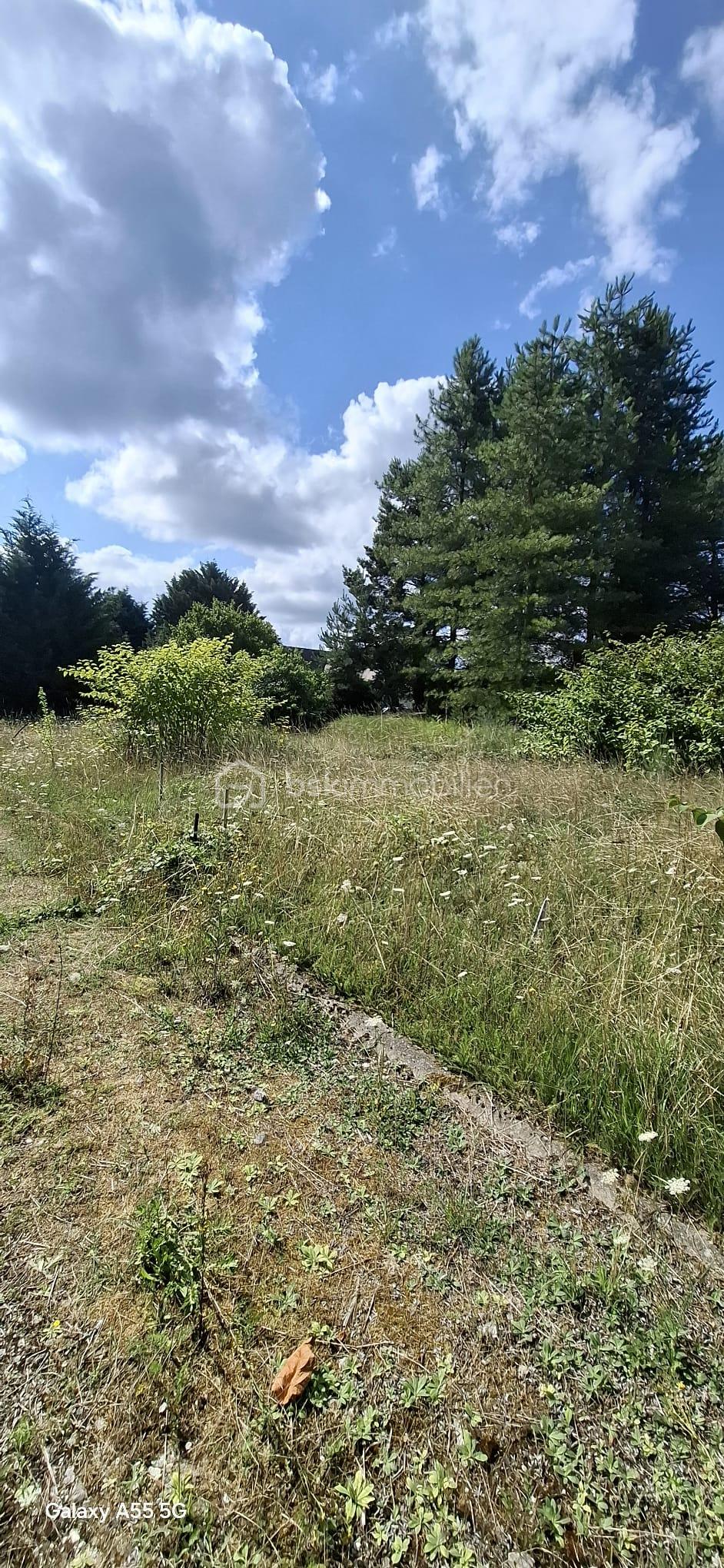 Terrain de 1 270 m² - 1000013117.jpg