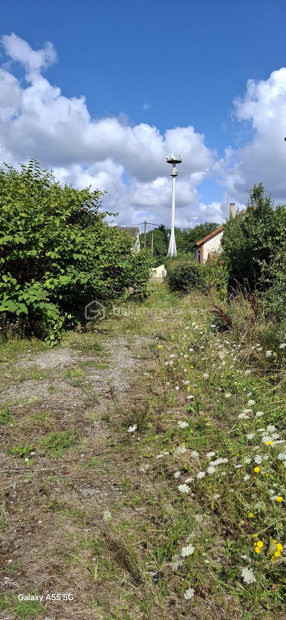 Terrain de 1 270 m² - 1000013119.jpg
