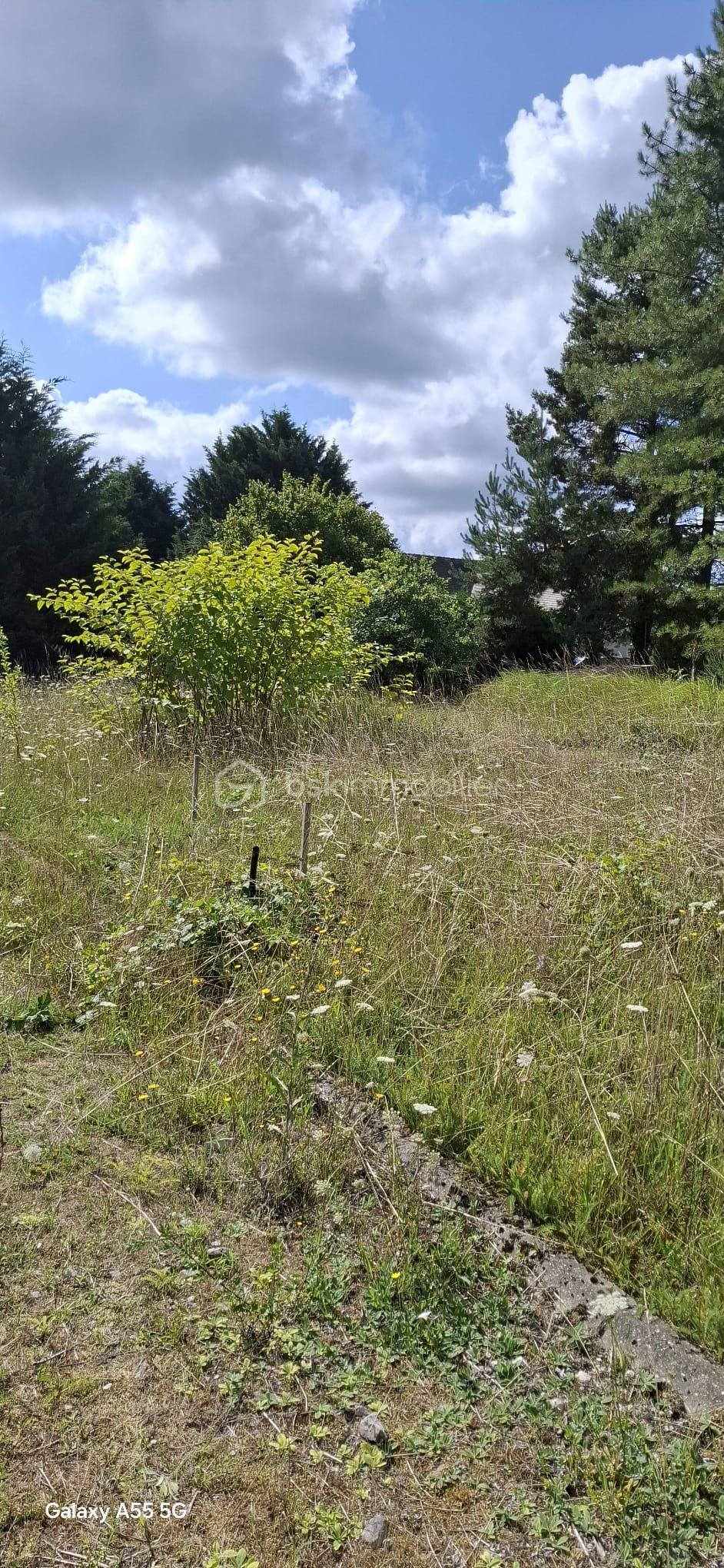 Terrain de 1 270 m² - 1000013118.jpg