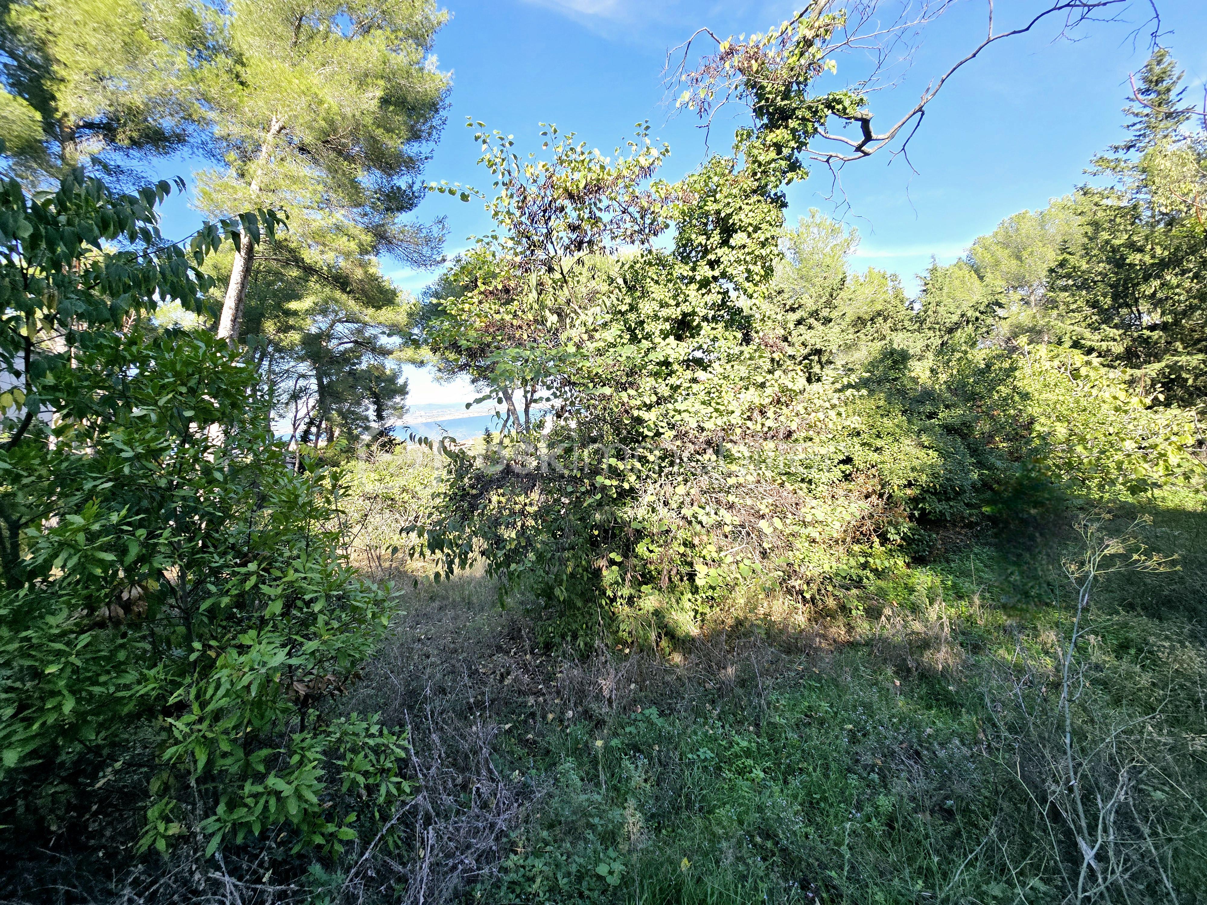Terrain de 2 887 m² - 20241023_144504.jpg
