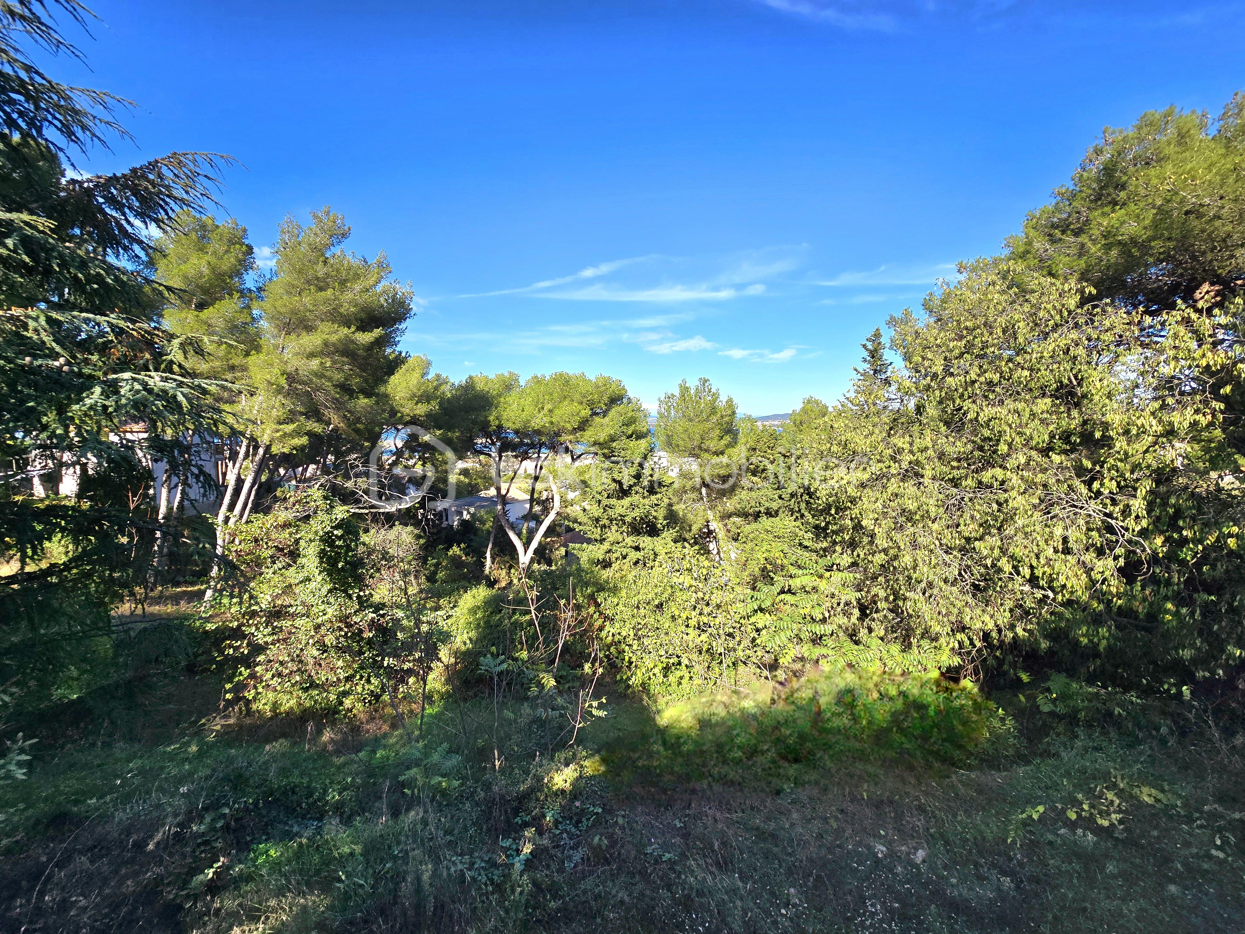 Terrain de 2 887 m² - 20241023_143902.jpg
