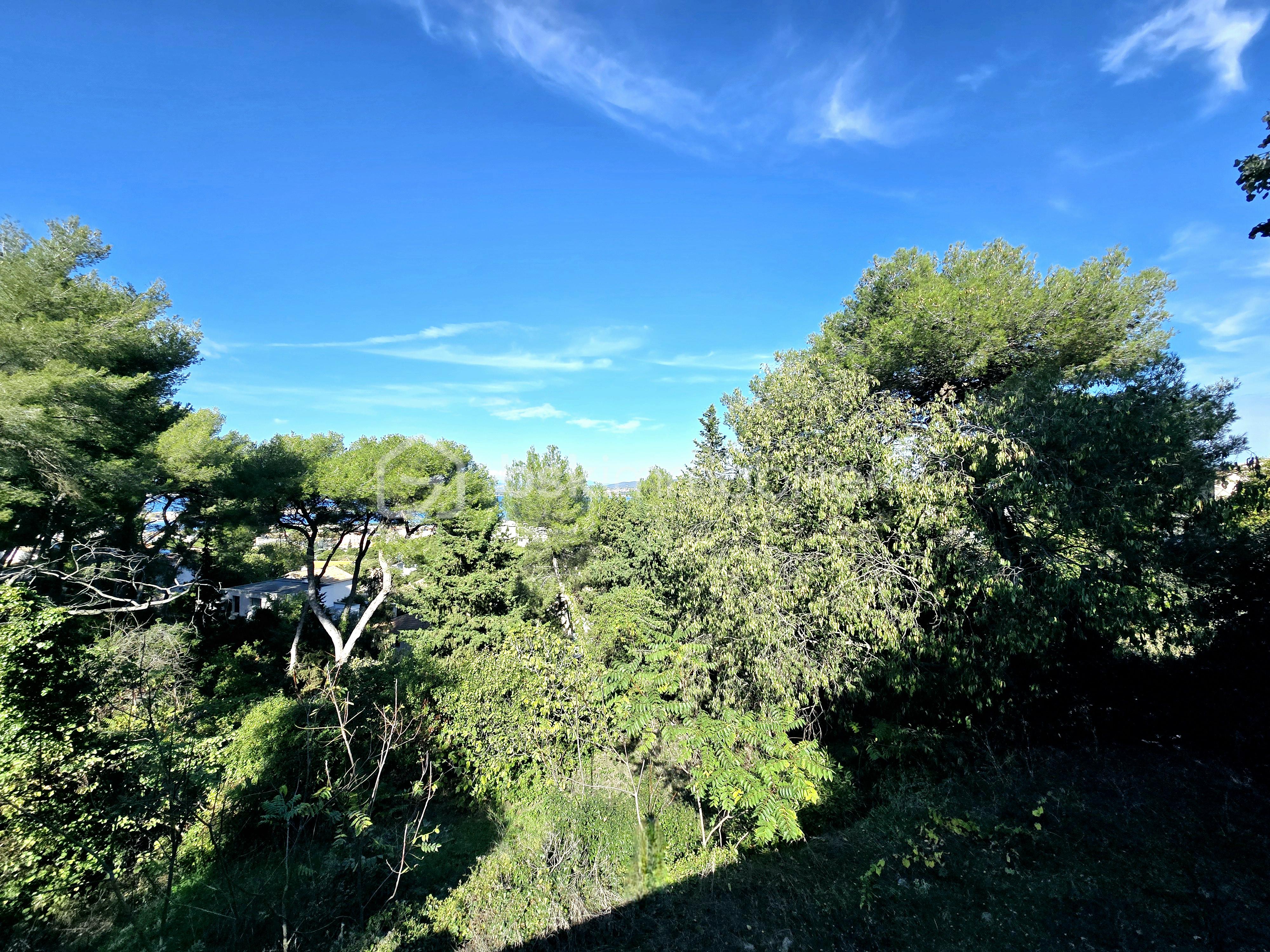 Terrain de 2 887 m² - 20241023_143913.jpg
