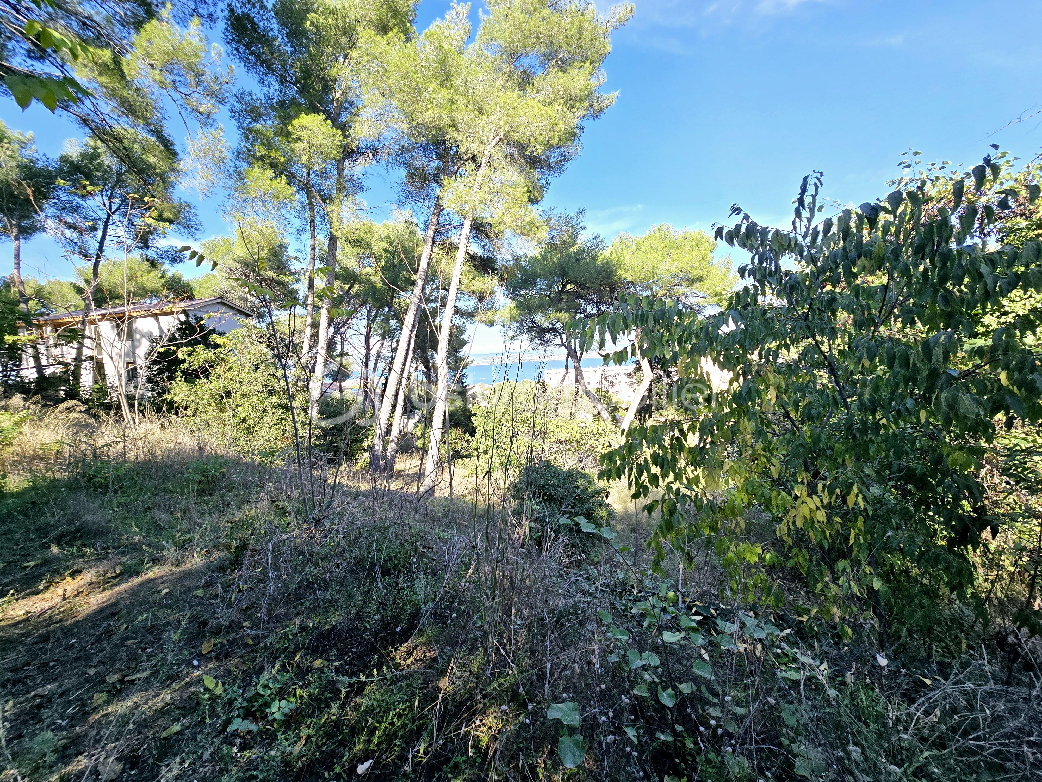 Terrain de 2 887 m² - 20241023_144408.jpg