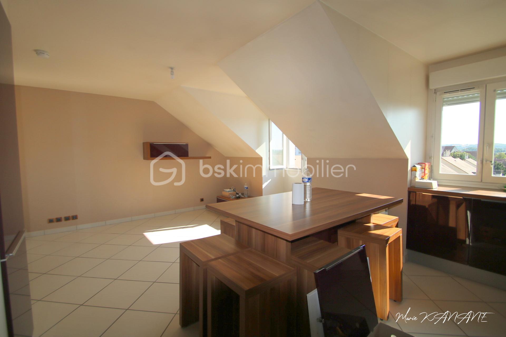 Duplex de 56,75 m² - Séjour2.JPG