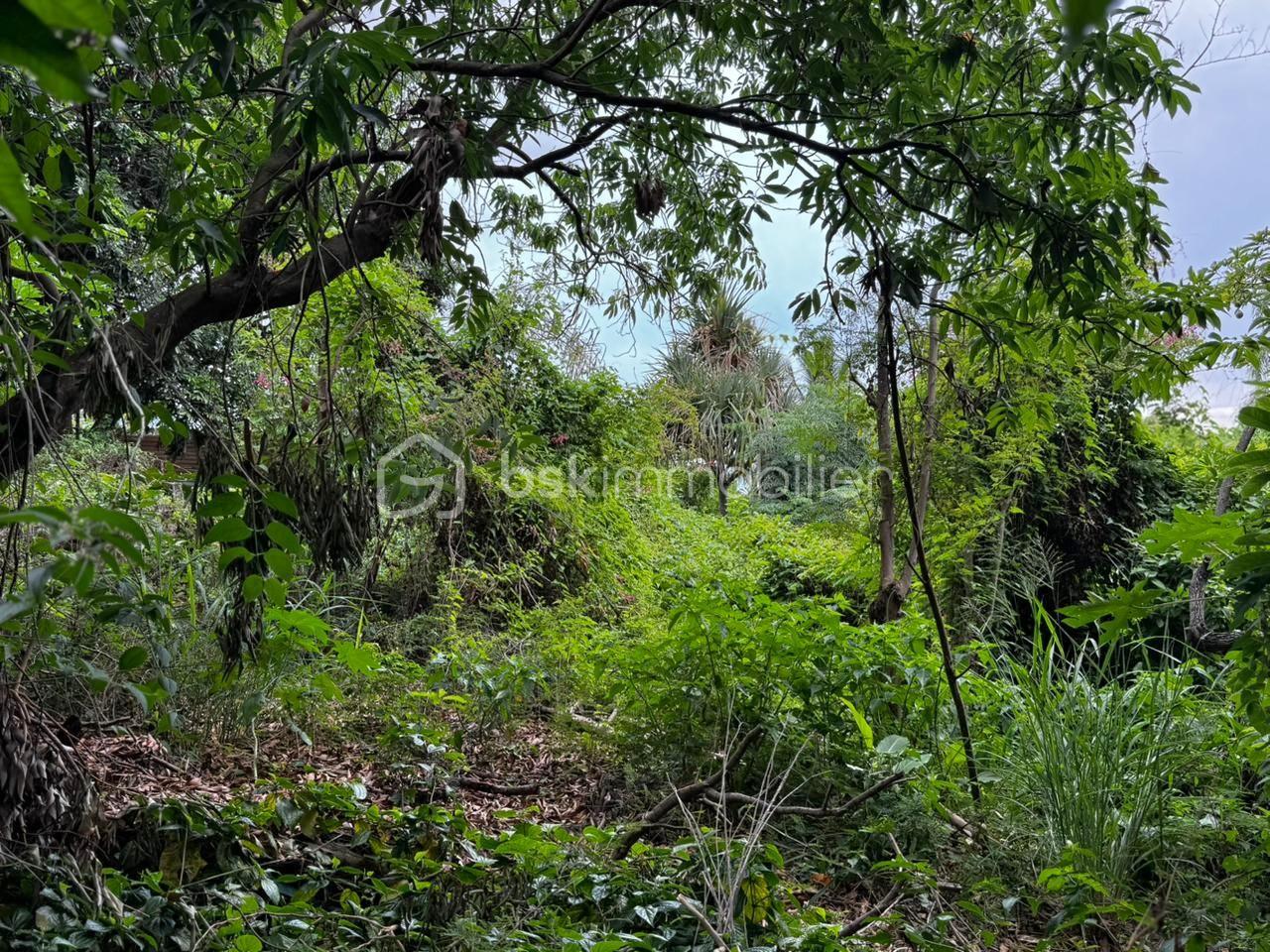 Terrain de 1 018 m² - WhatsApp Image 2026-01-26 at 17.02.39 (1).jpeg