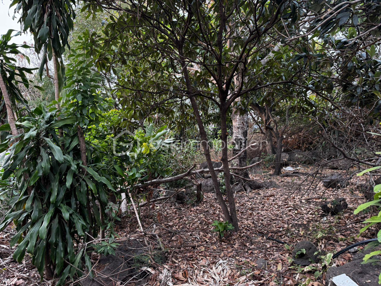 Terrain de 1 018 m² - IMG-20251014-WA0025.jpg