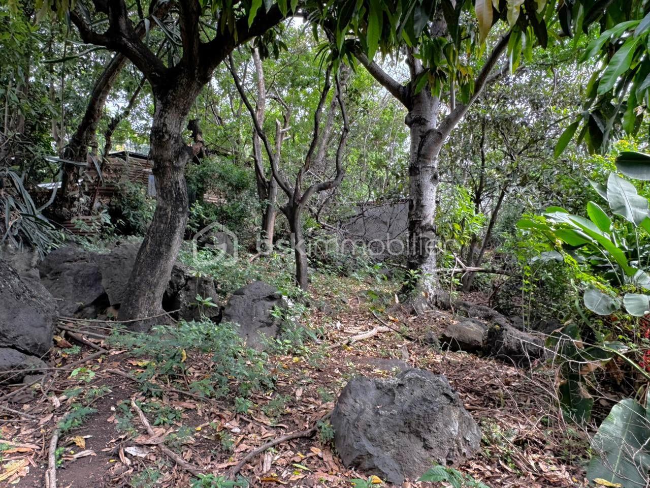 Terrain de 1 018 m² - WhatsApp Image 2026-01-26 at 17.02.33 (1).jpeg