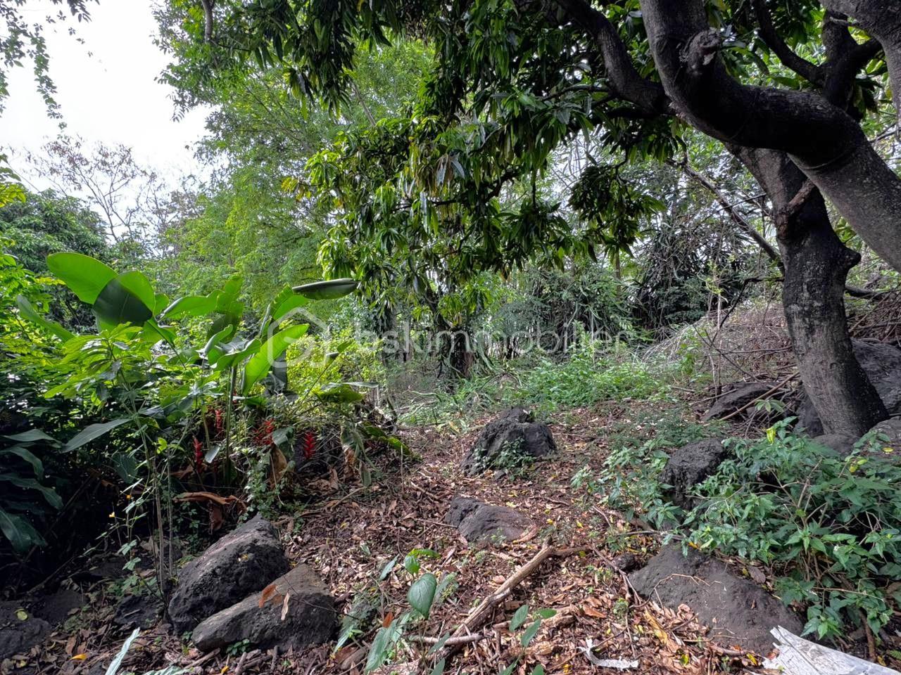 Terrain de 1 018 m² - WhatsApp Image 2026-01-26 at 17.02.32.jpeg