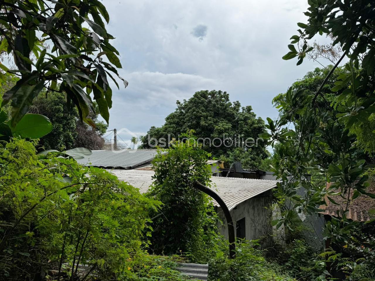 WhatsApp Image 2026-01-26 at 17.02.32 (1).jpeg