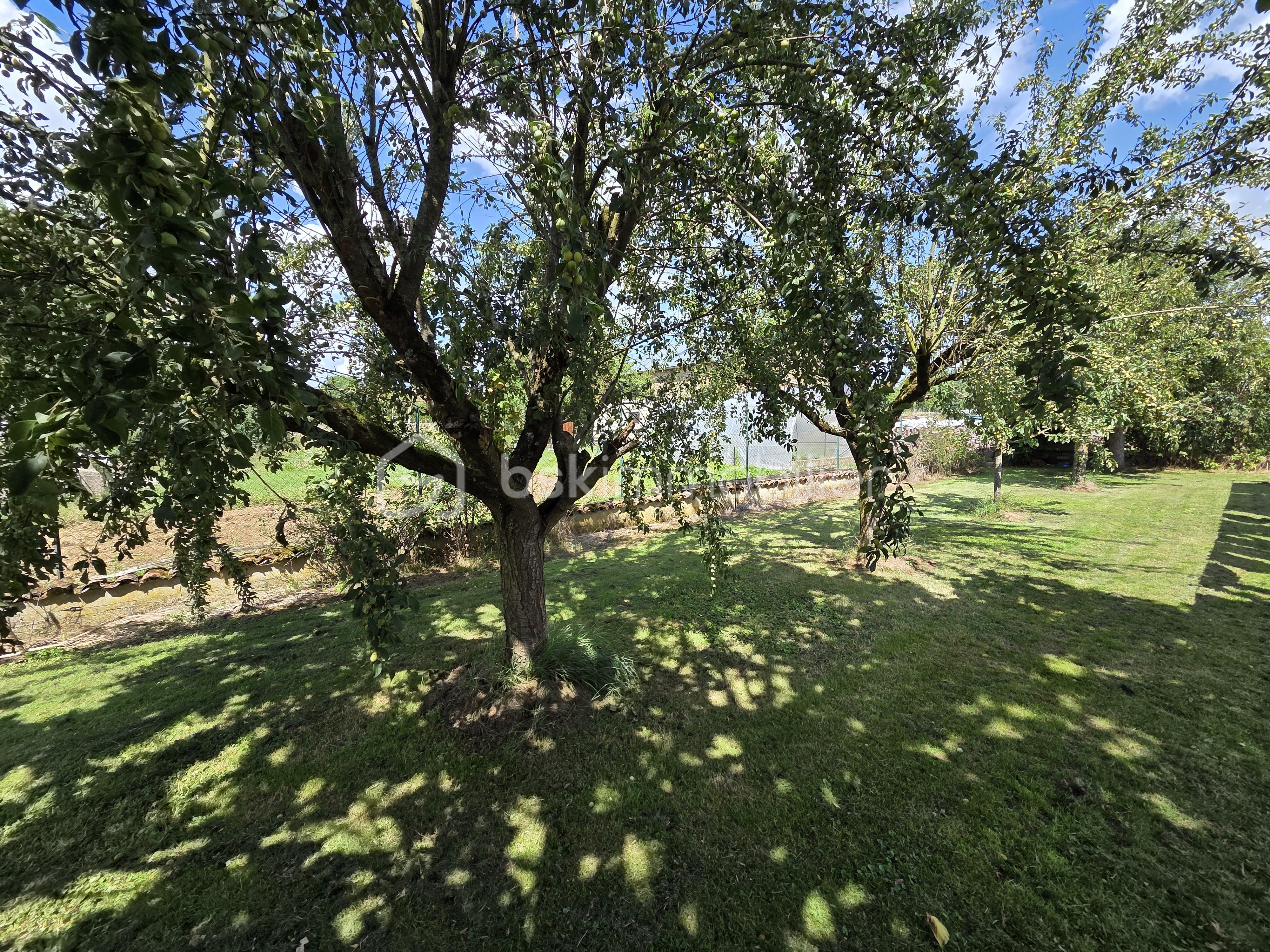 Maison de 275 m² - 20250729_145319.jpg