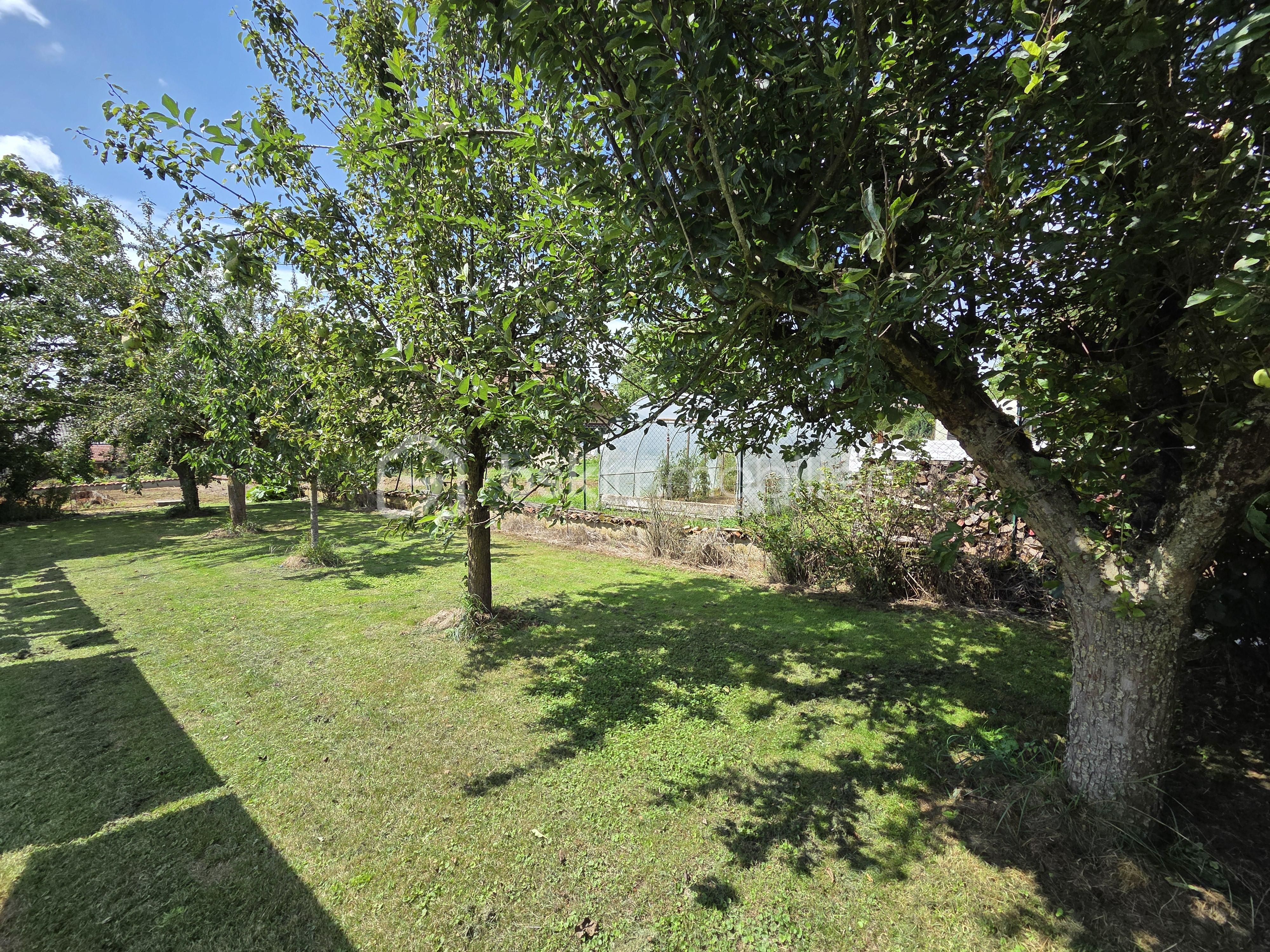 Maison de 275 m² - 20250729_145243.jpg