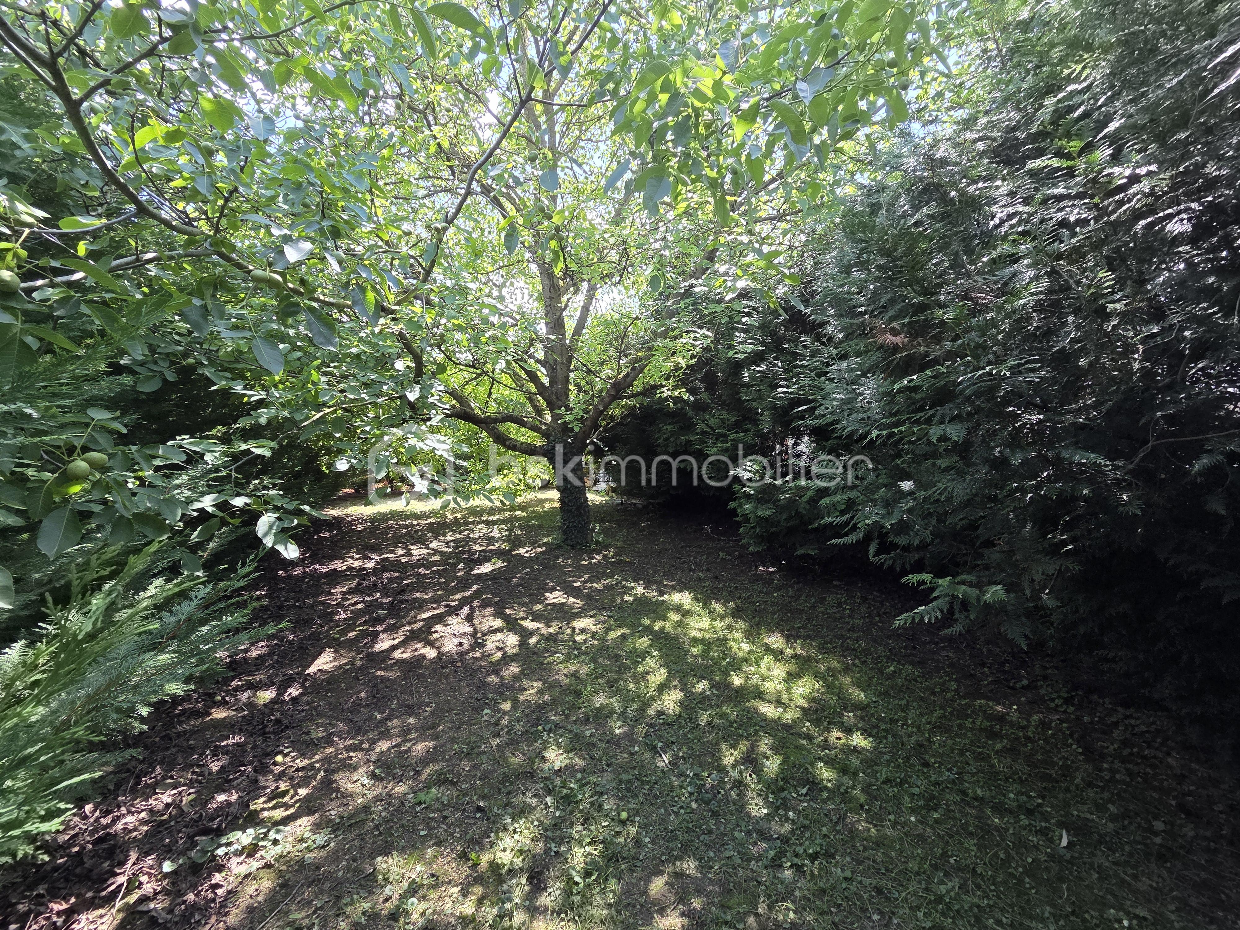 Maison de 275 m² - 20250729_145440.jpg