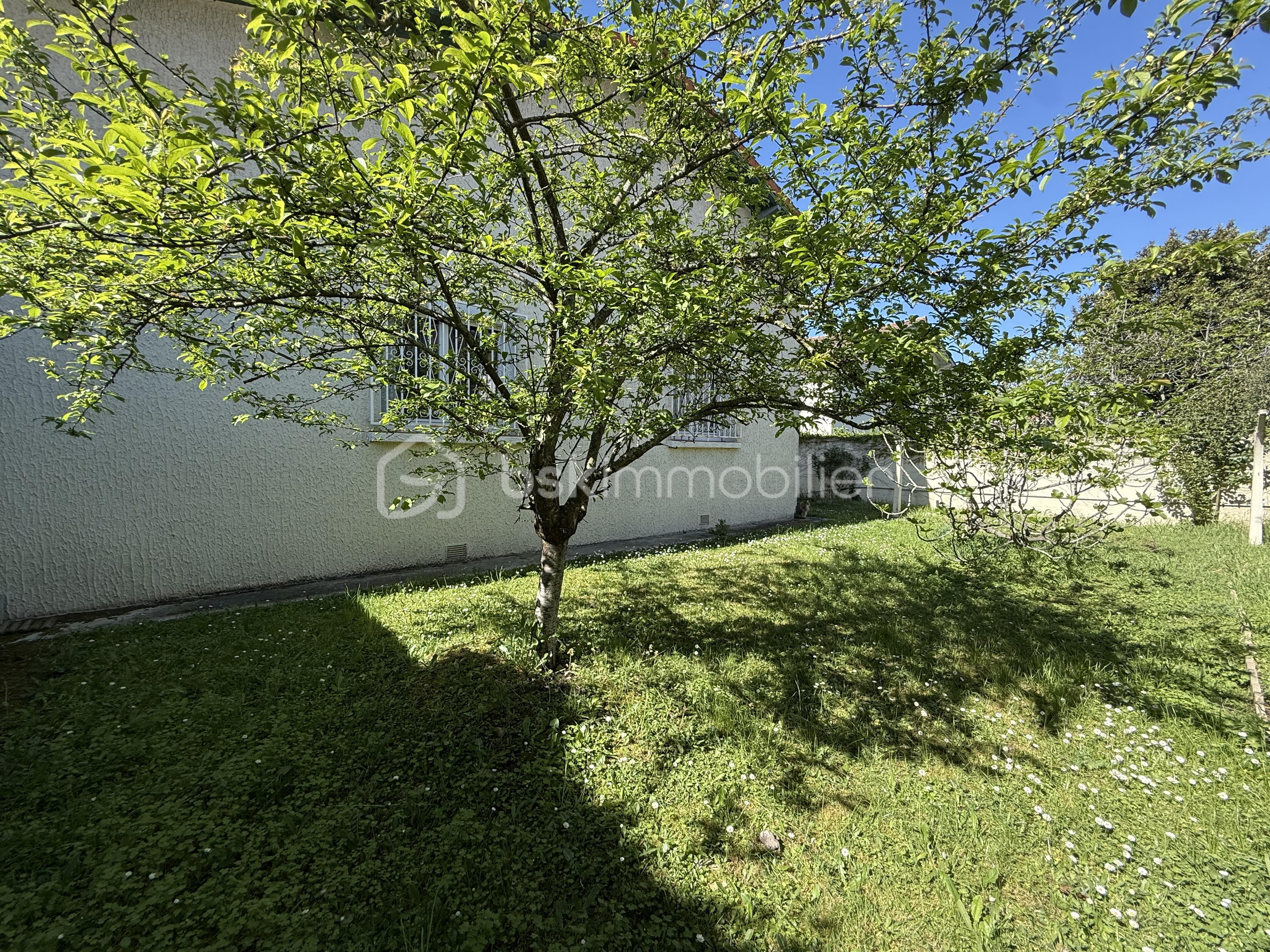 IMG_4252.jpeg