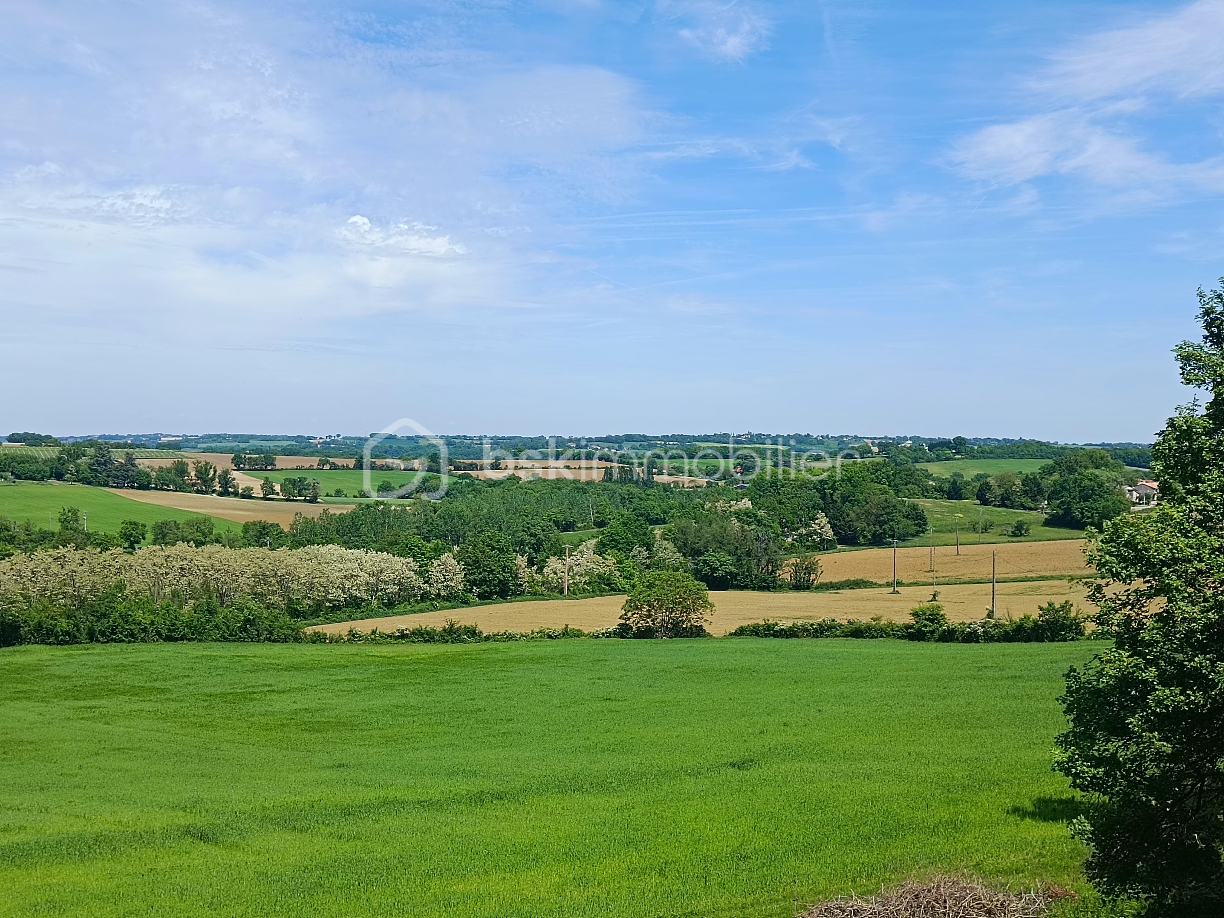 maison_vente_gers_condom_campagne_domaine_gites_chambredhotes (14).jpg