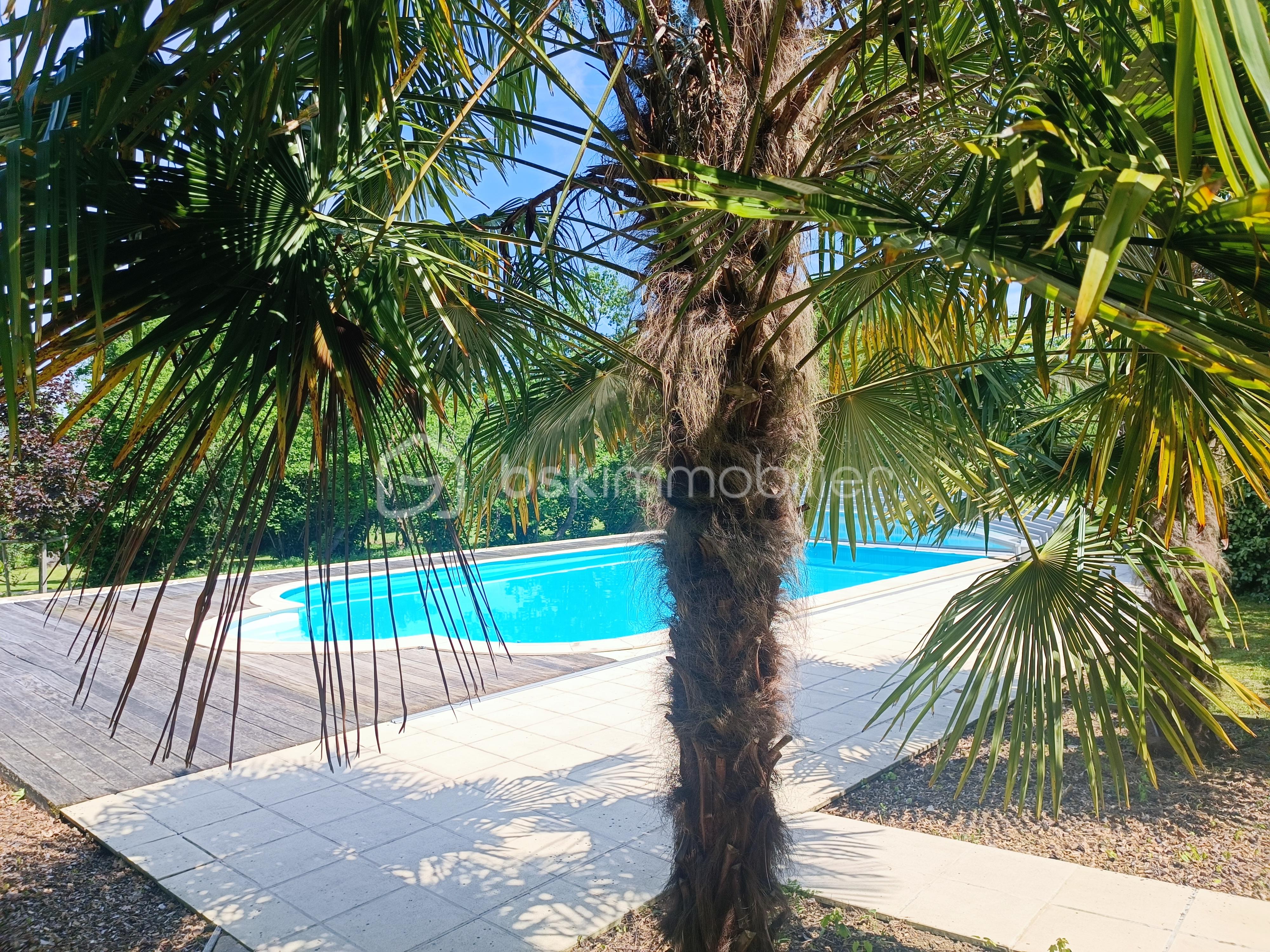 maison_vente_gers_condom_campagne_domaine_gites_chambredhotes (5).jpg