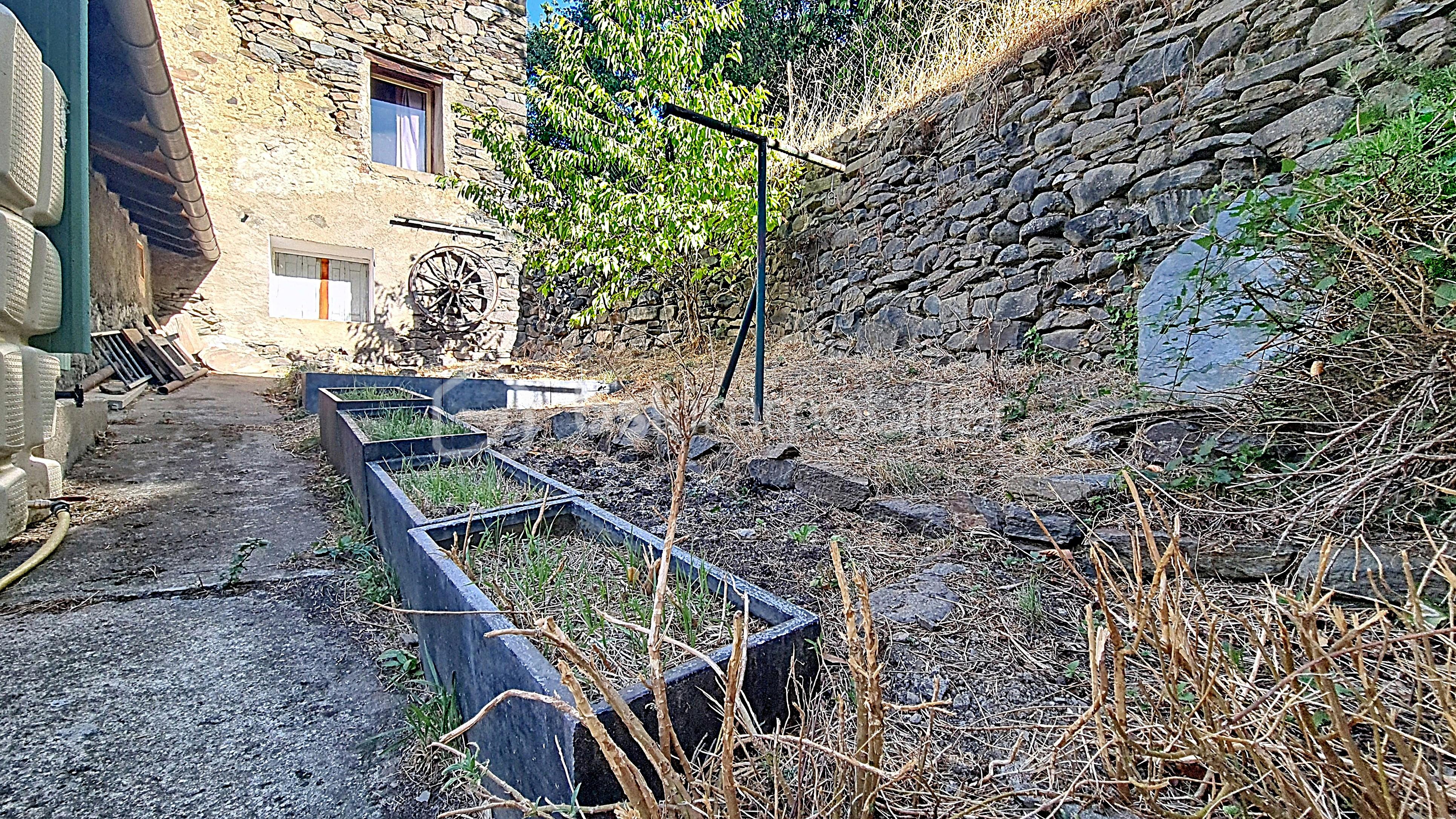 jardin arriere.jpg