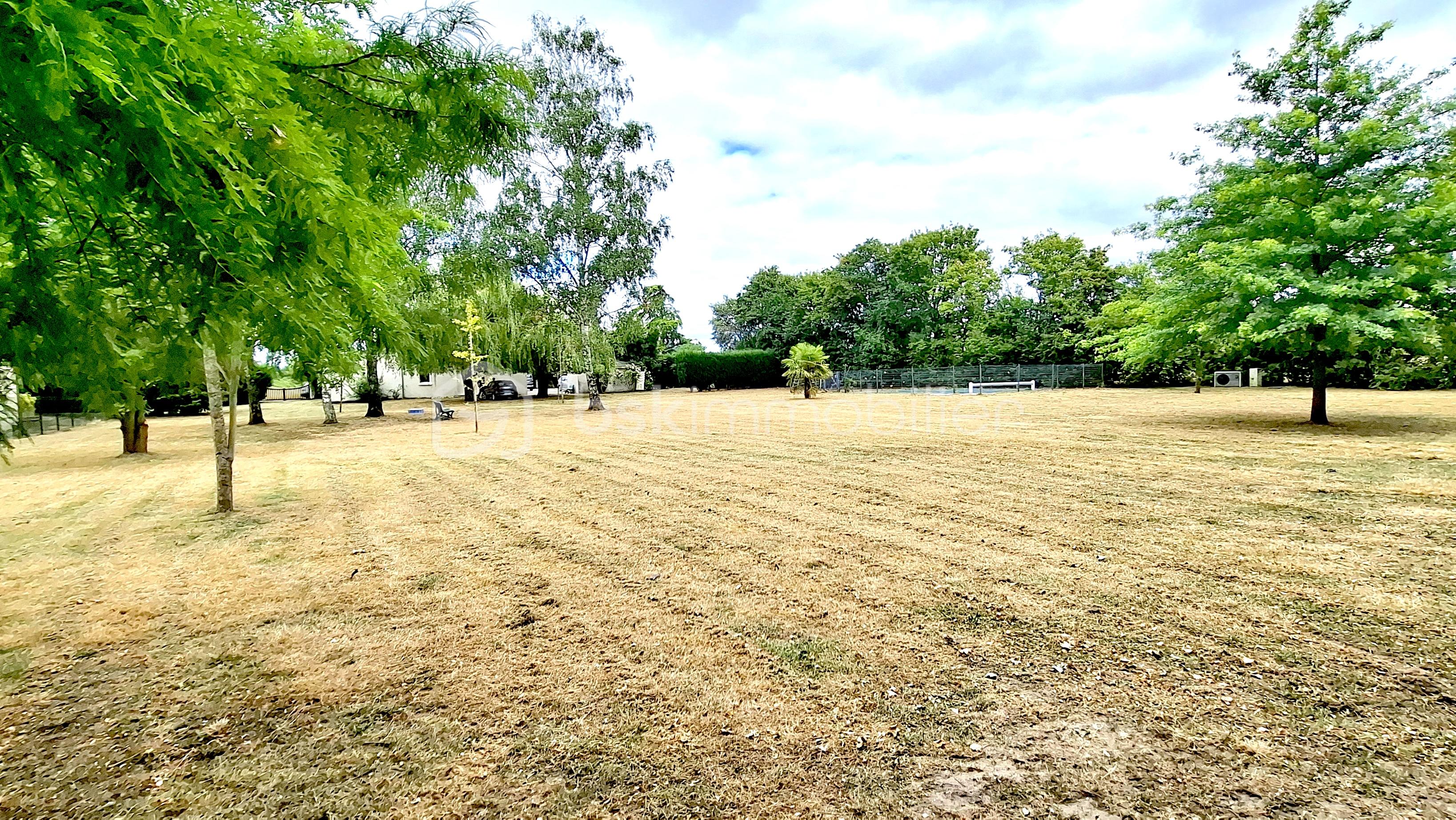 20250717_143726 copie.jpg