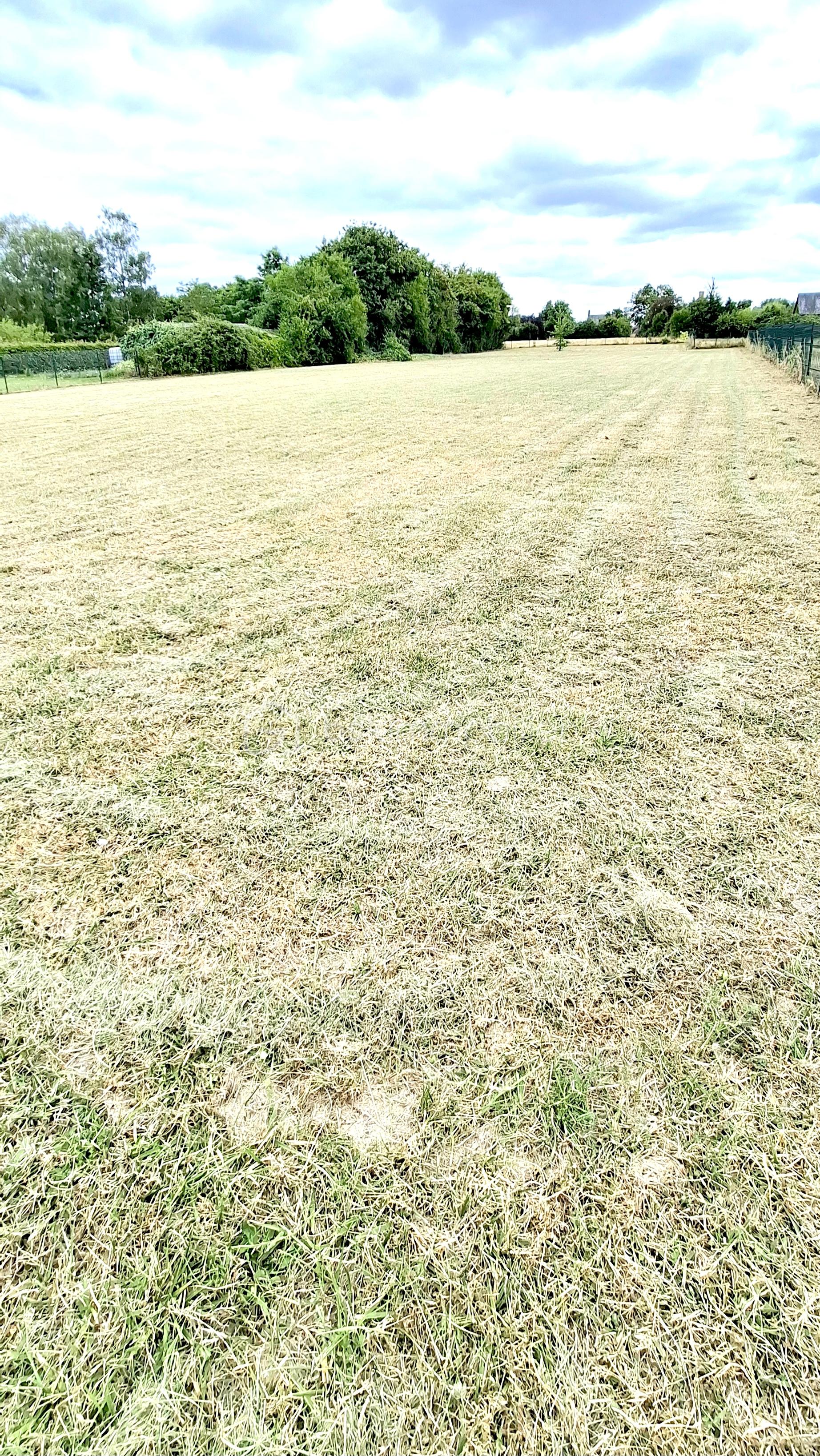 20250717_144052 copie.jpg