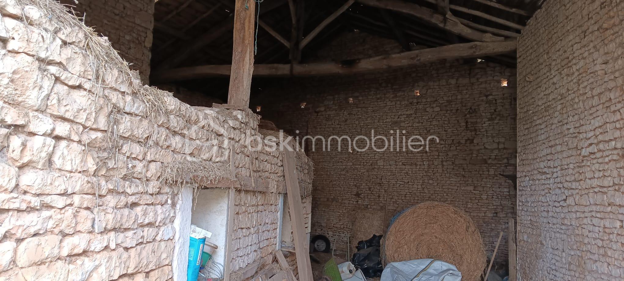 WhatsApp Image 2026-02-21 at 13.58.35 (3).jpeg