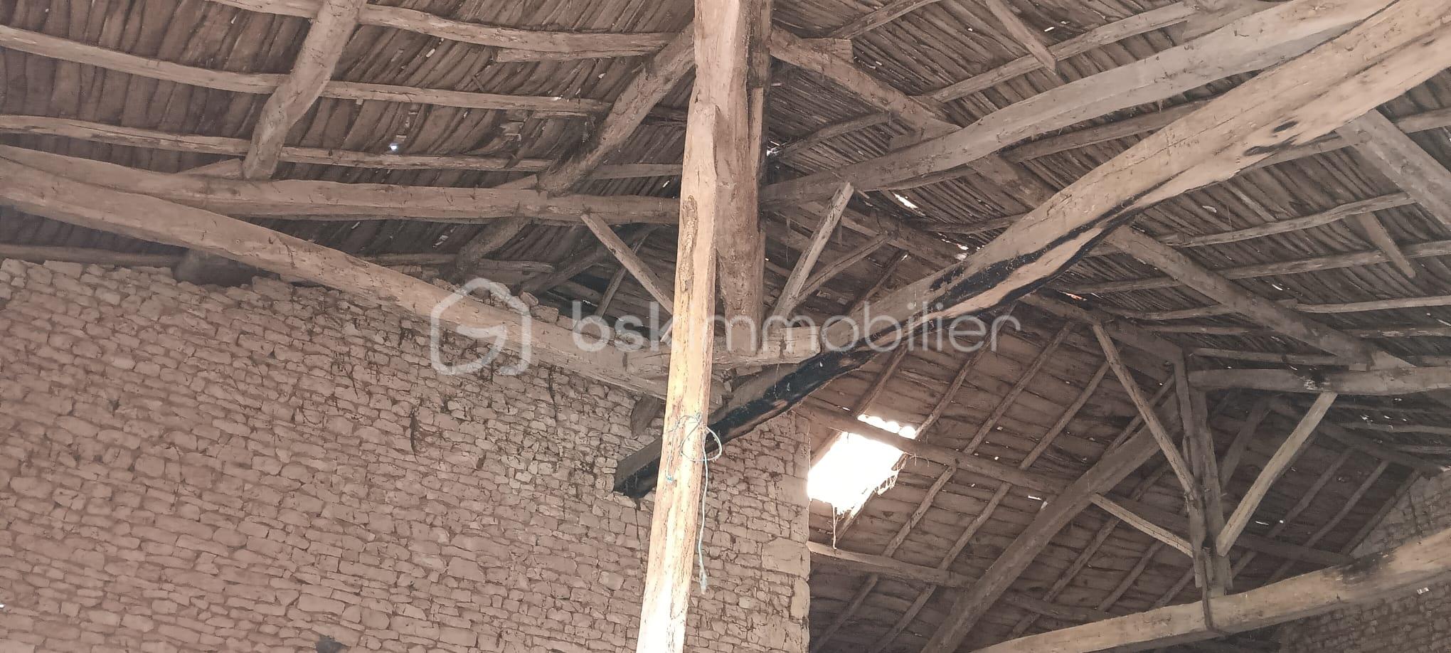 WhatsApp Image 2026-02-21 at 13.58.35 (4).jpeg