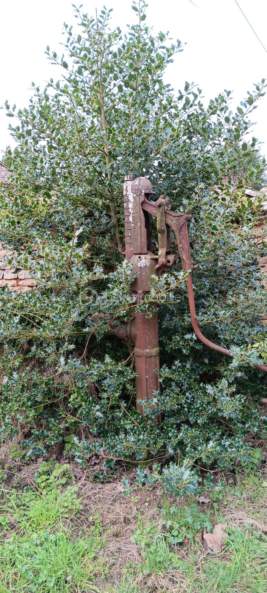 WhatsApp Image 2026-02-21 at 13.58.34 (3).jpeg