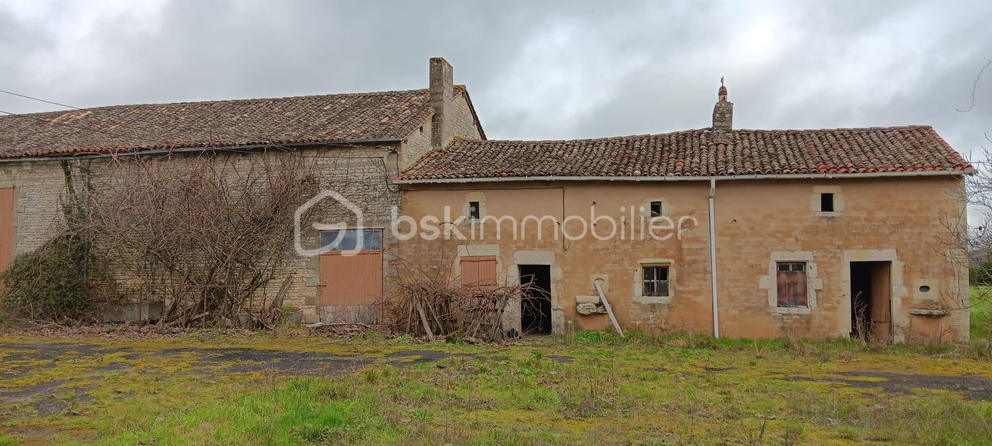 WhatsApp Image 2026-02-21 at 13.58.34.jpeg