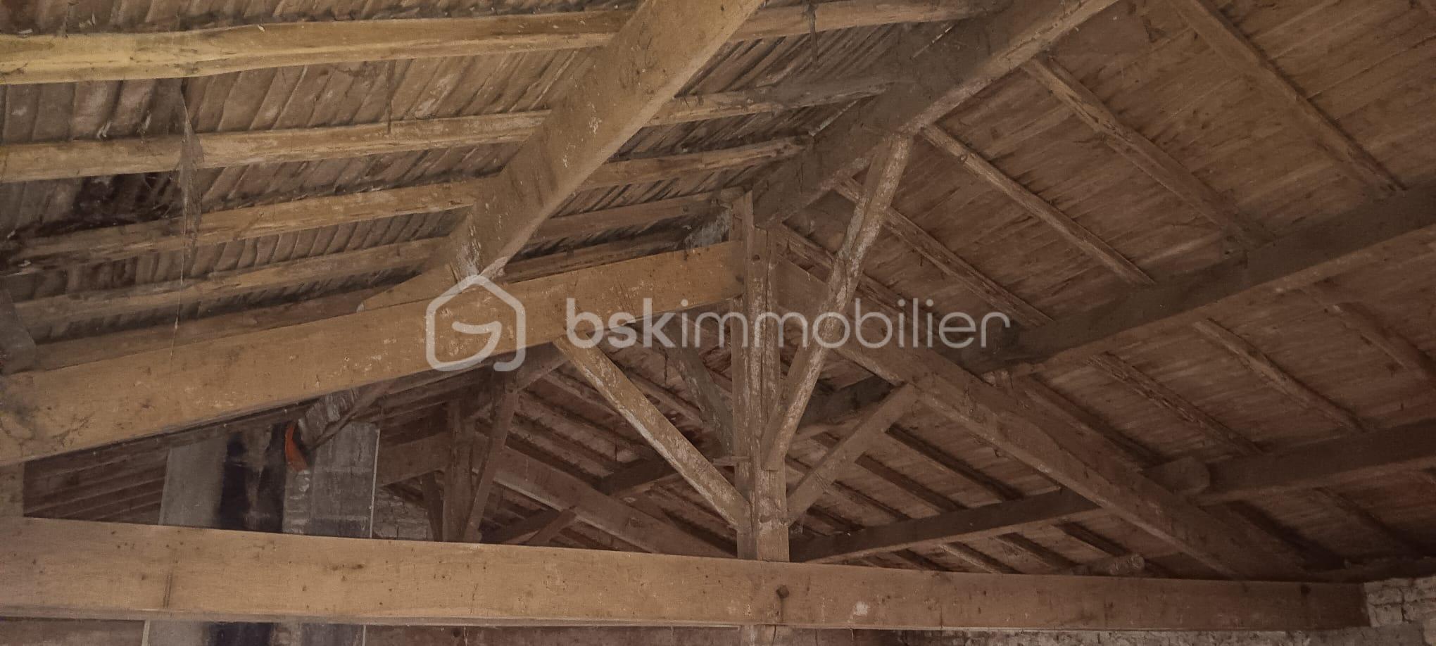 WhatsApp Image 2026-02-21 at 13.58.36 (7).jpeg