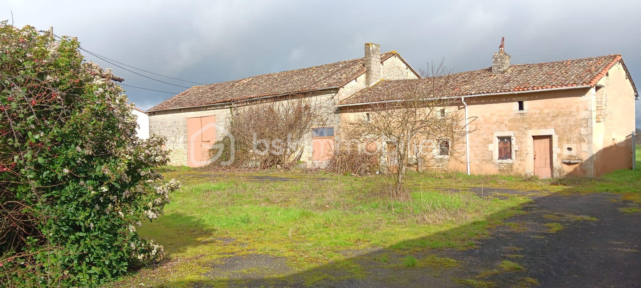 WhatsApp Image 2026-02-21 at 13.58.33.jpeg