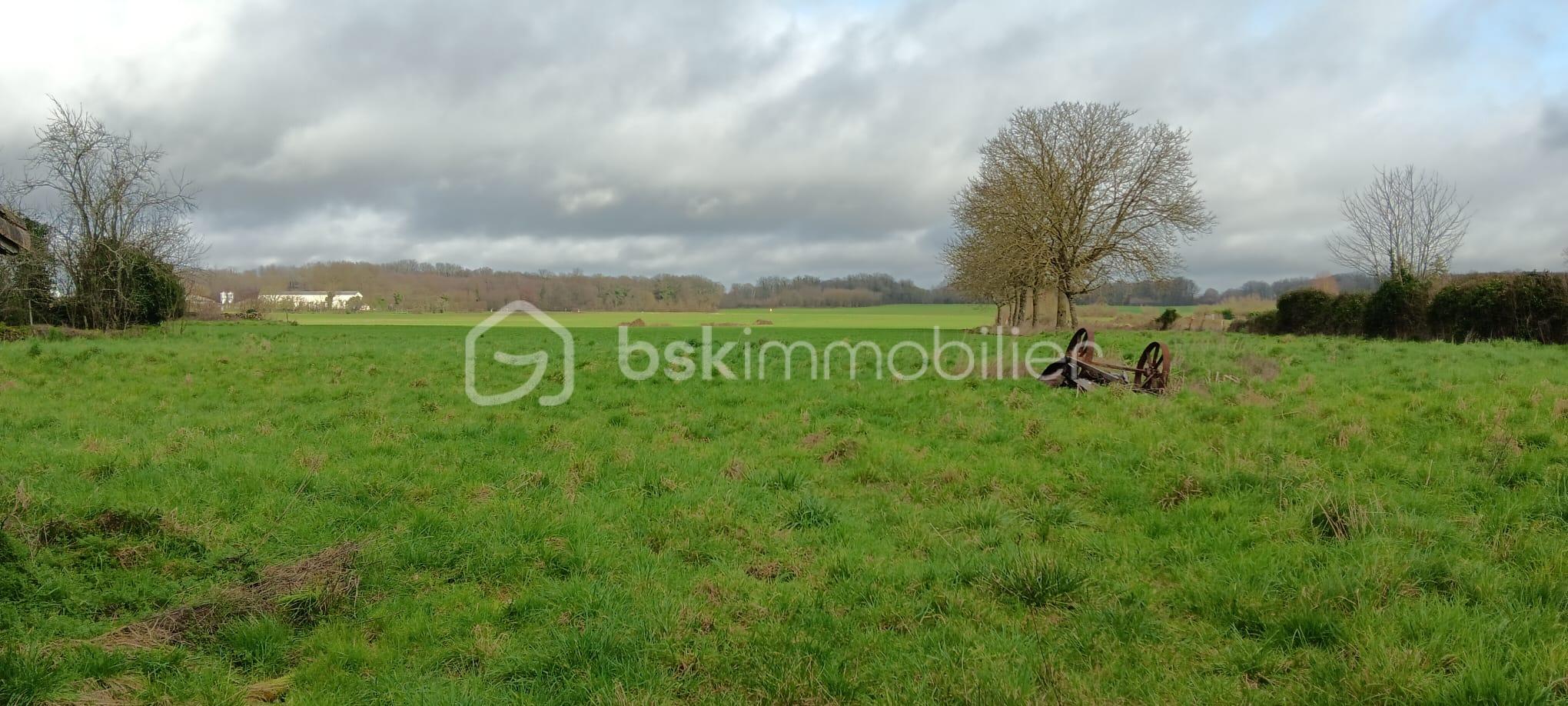 WhatsApp Image 2026-02-21 at 13.58.33 (6).jpeg