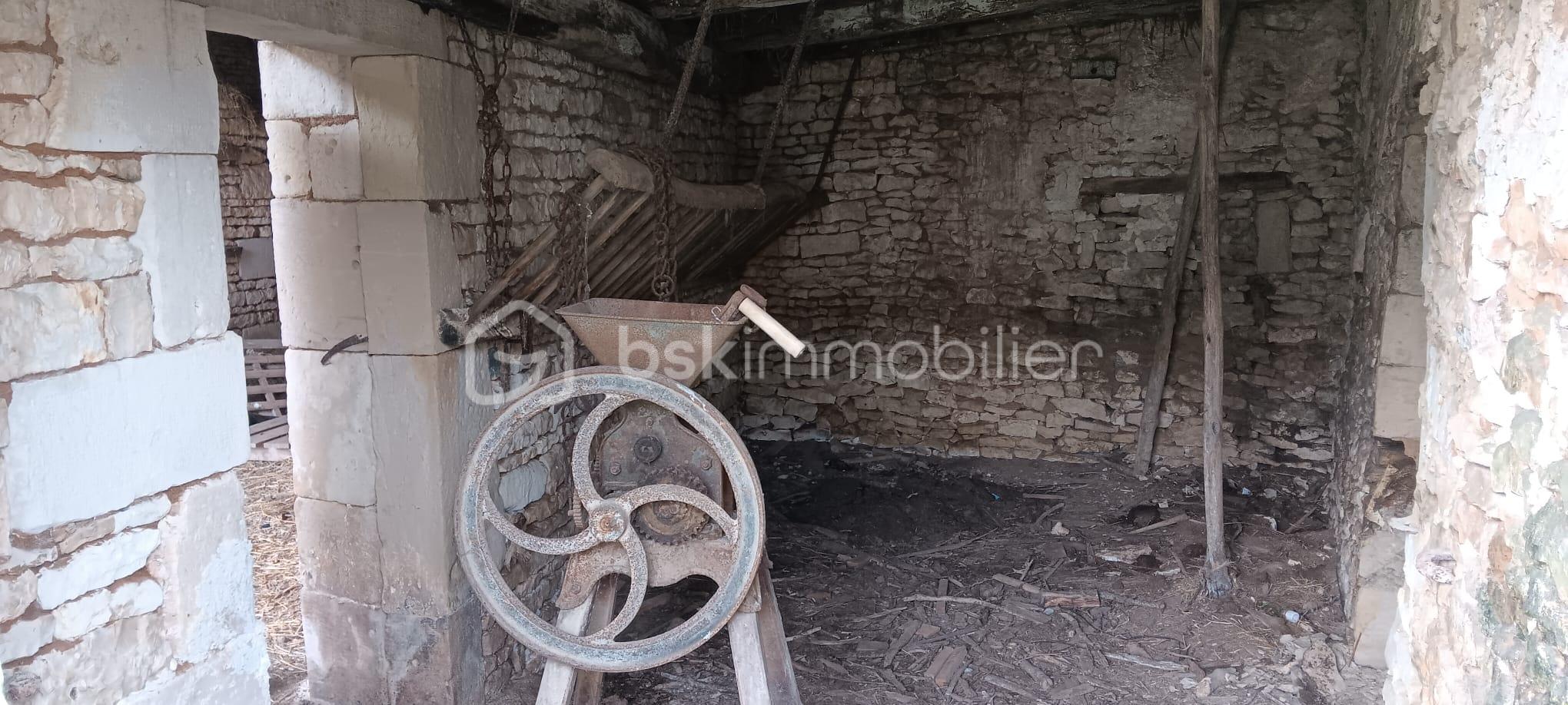 WhatsApp Image 2026-02-21 at 12.21.40 (5).jpeg