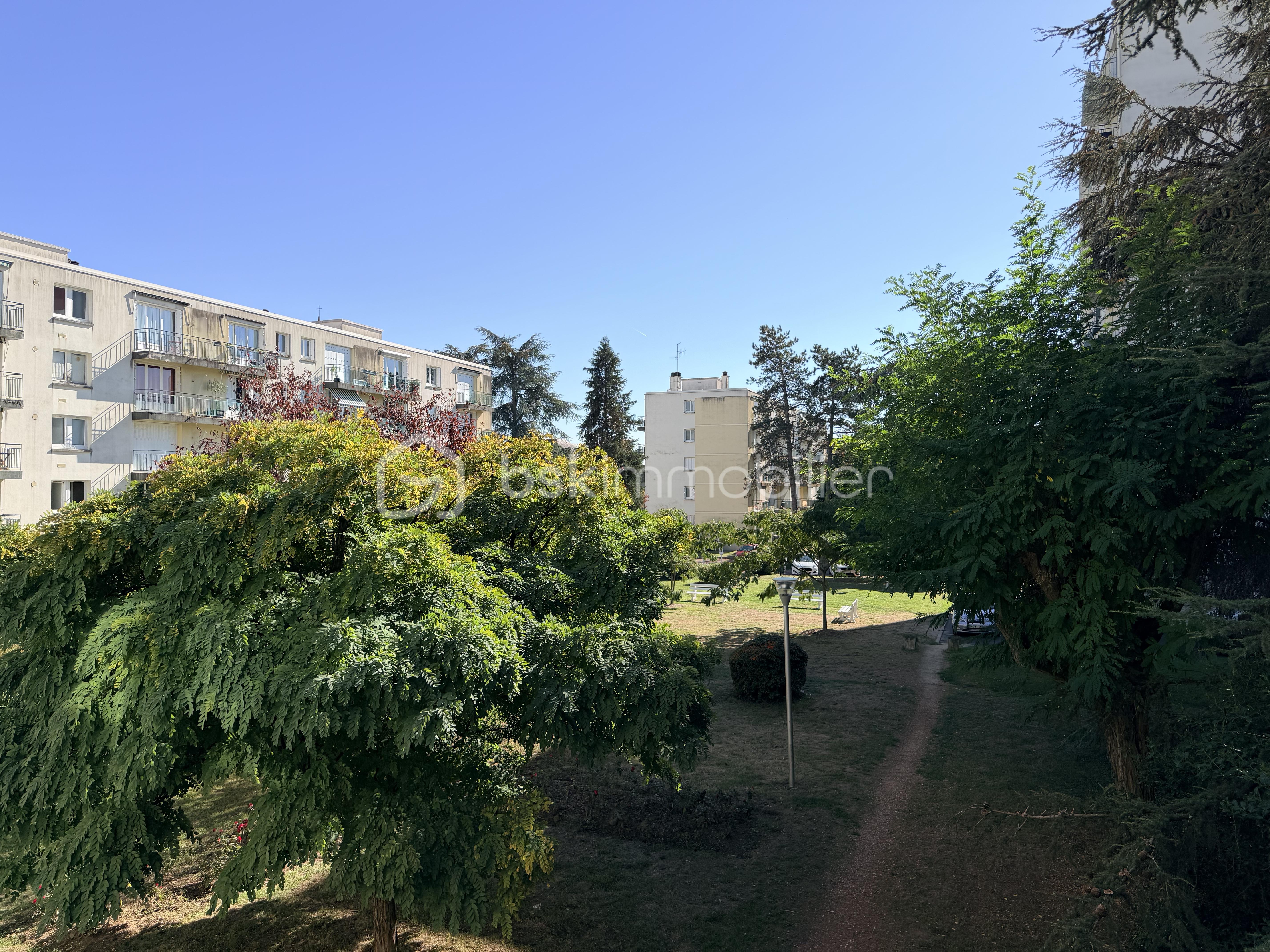 IMG_3649.jpeg