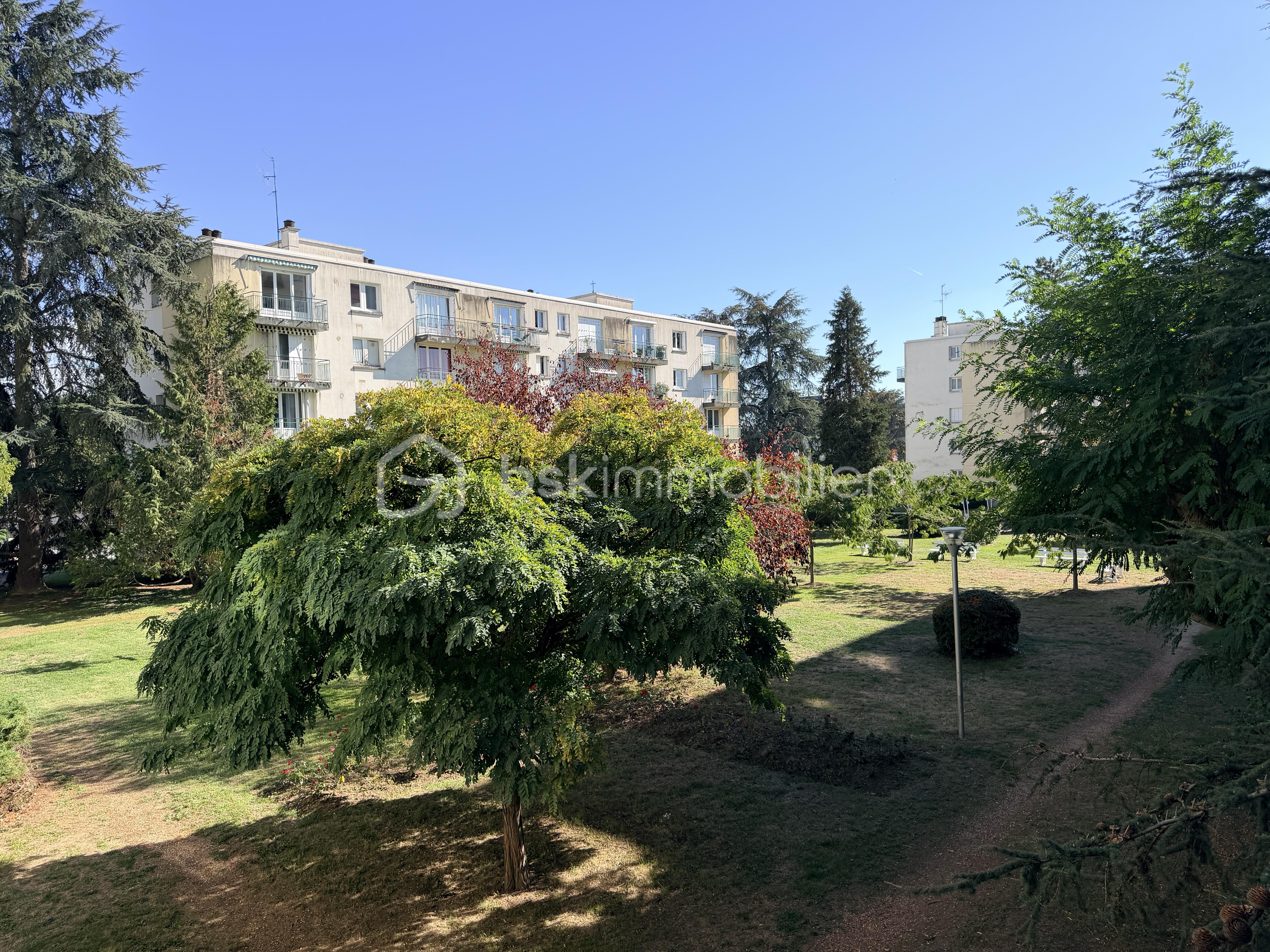 IMG_3648.jpeg